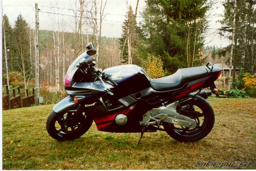 Photo 16276