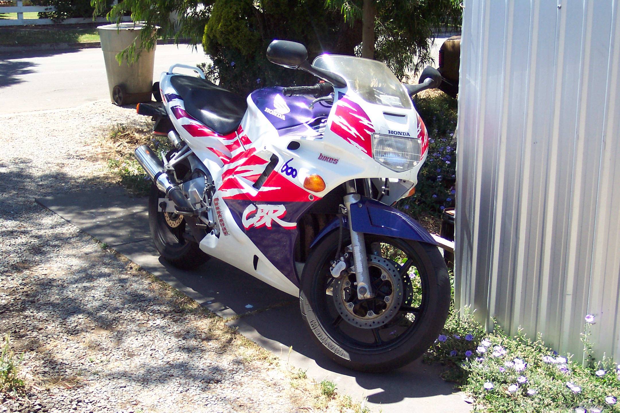 Photo 162765