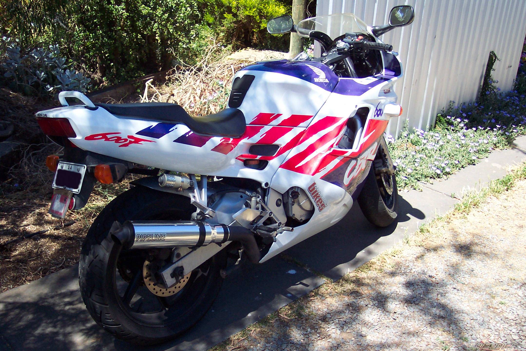 Photo 162766