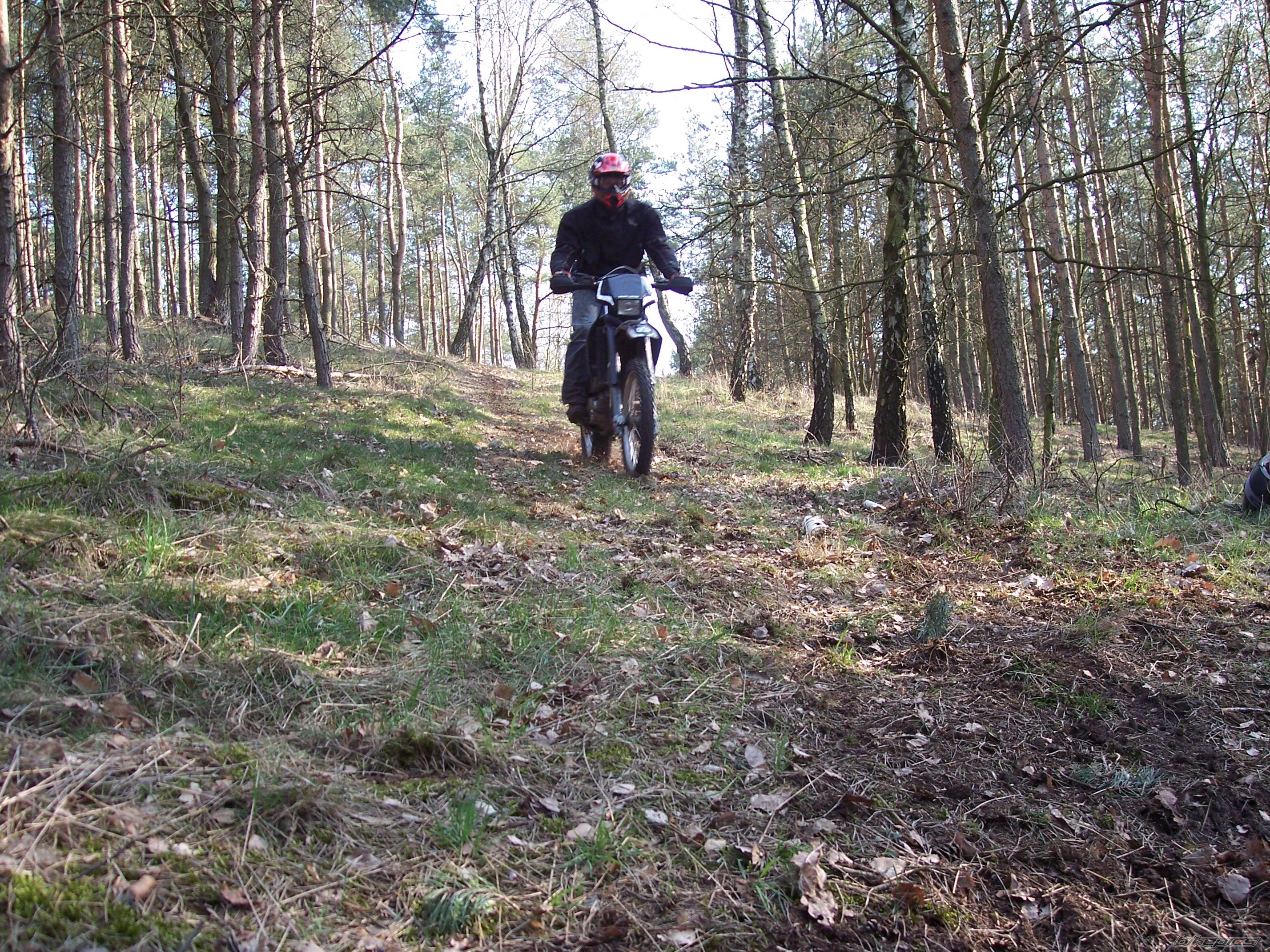 Photo 1627661