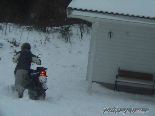 Photo 162816