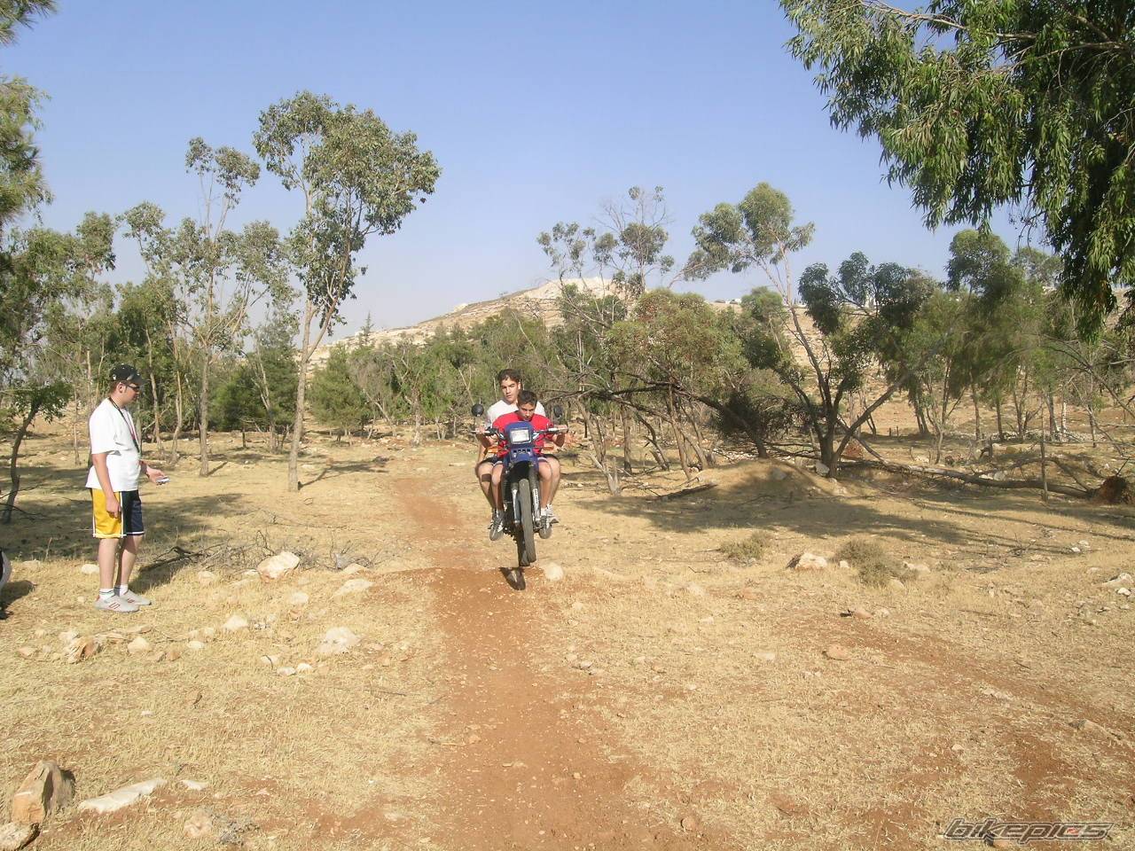 Photo 162828