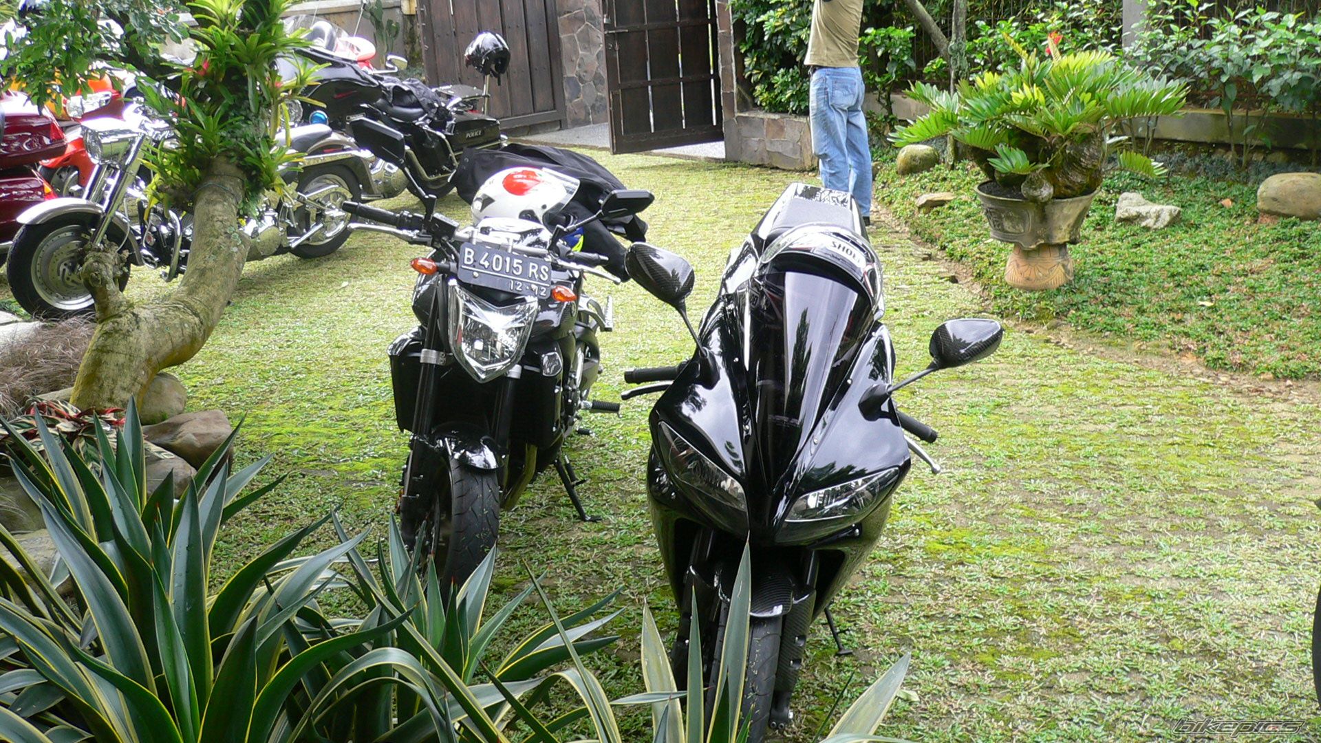 Photo 1628291