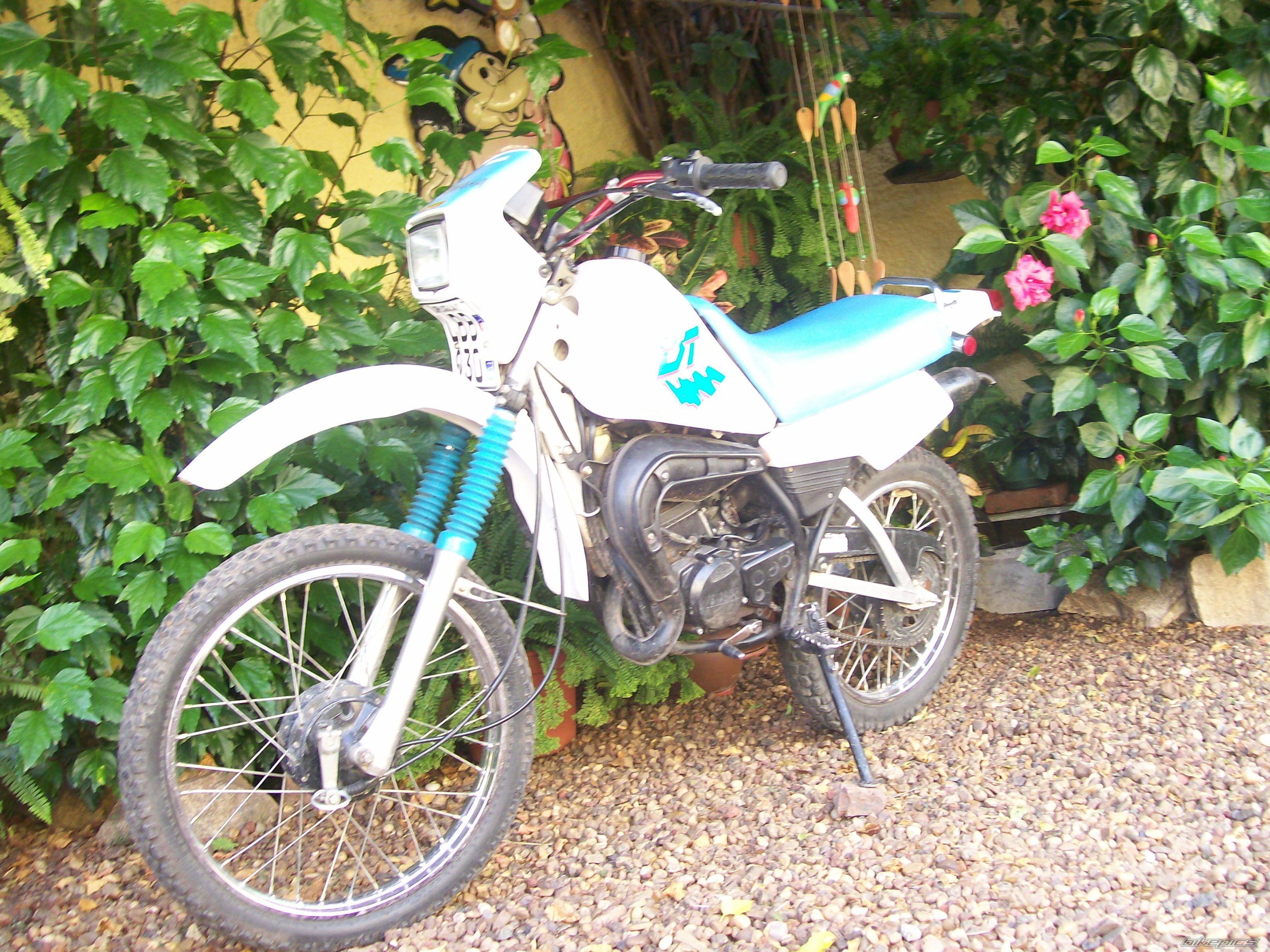 Photo 1628297