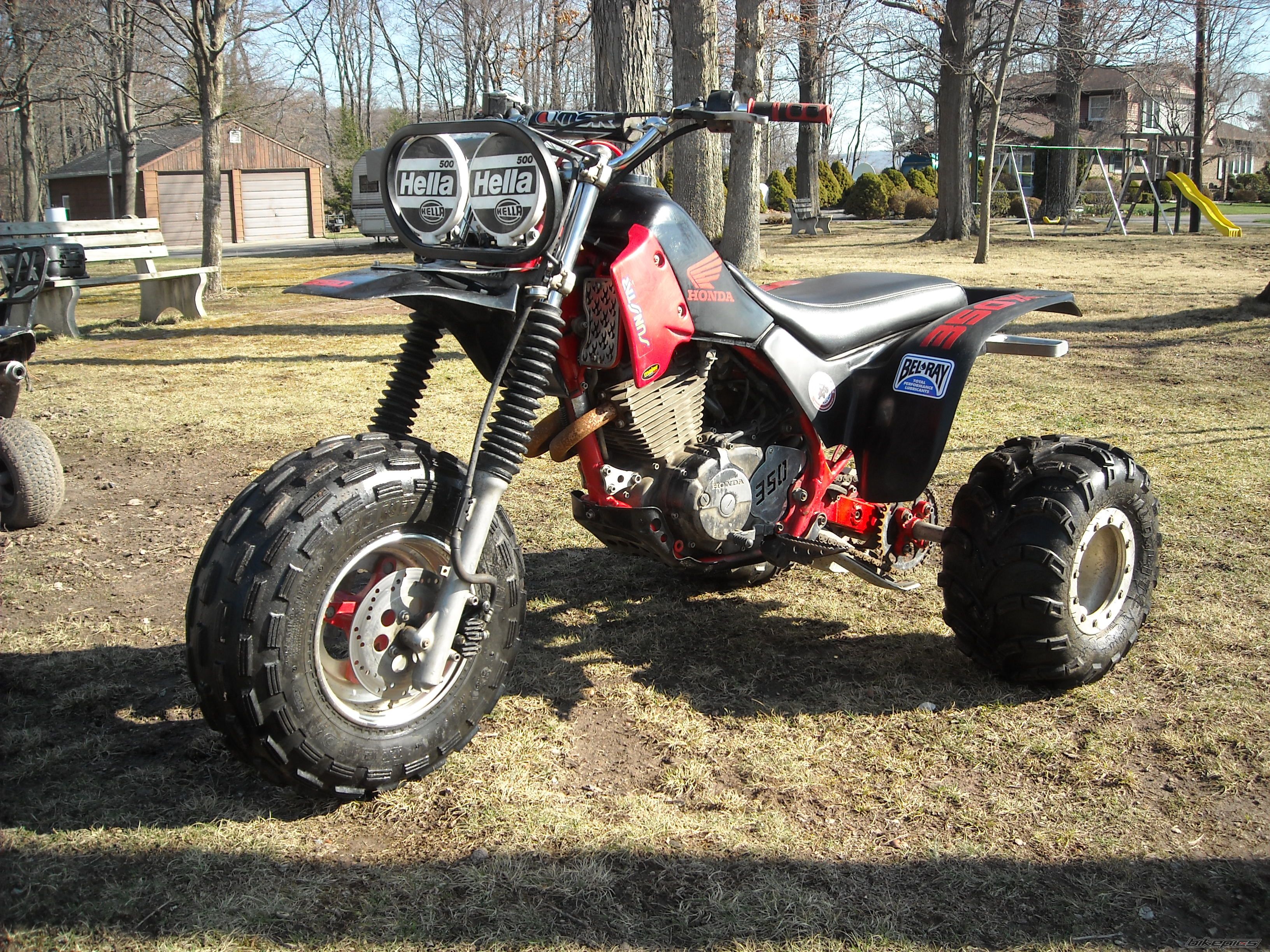 Photo 1628305