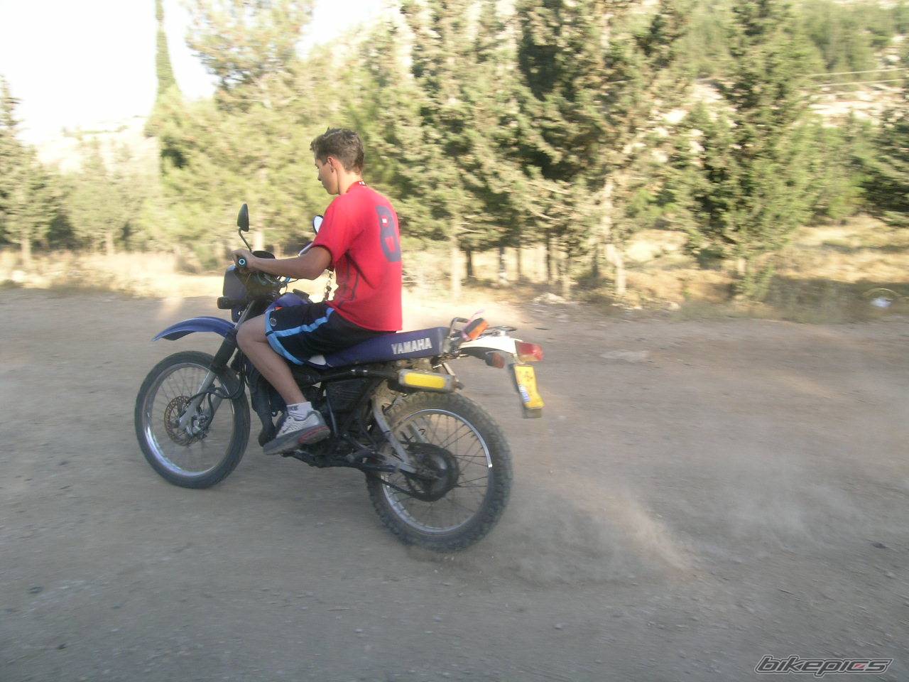 Photo 162832