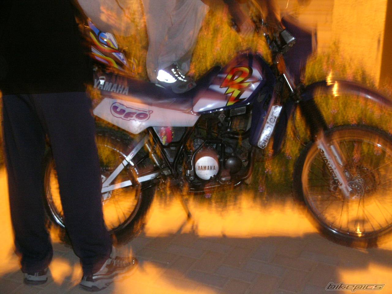 Photo 162834