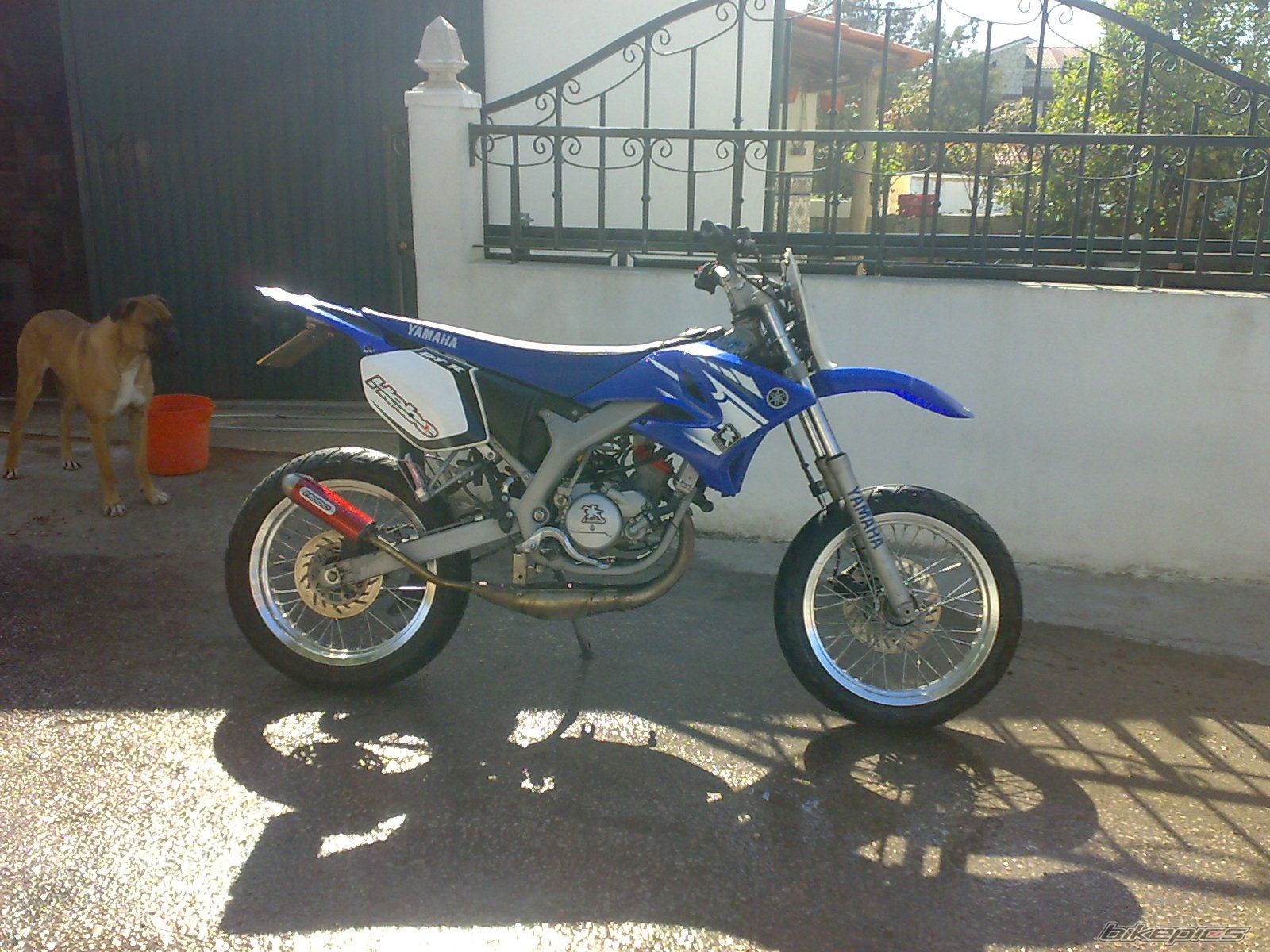 Photo 1628346