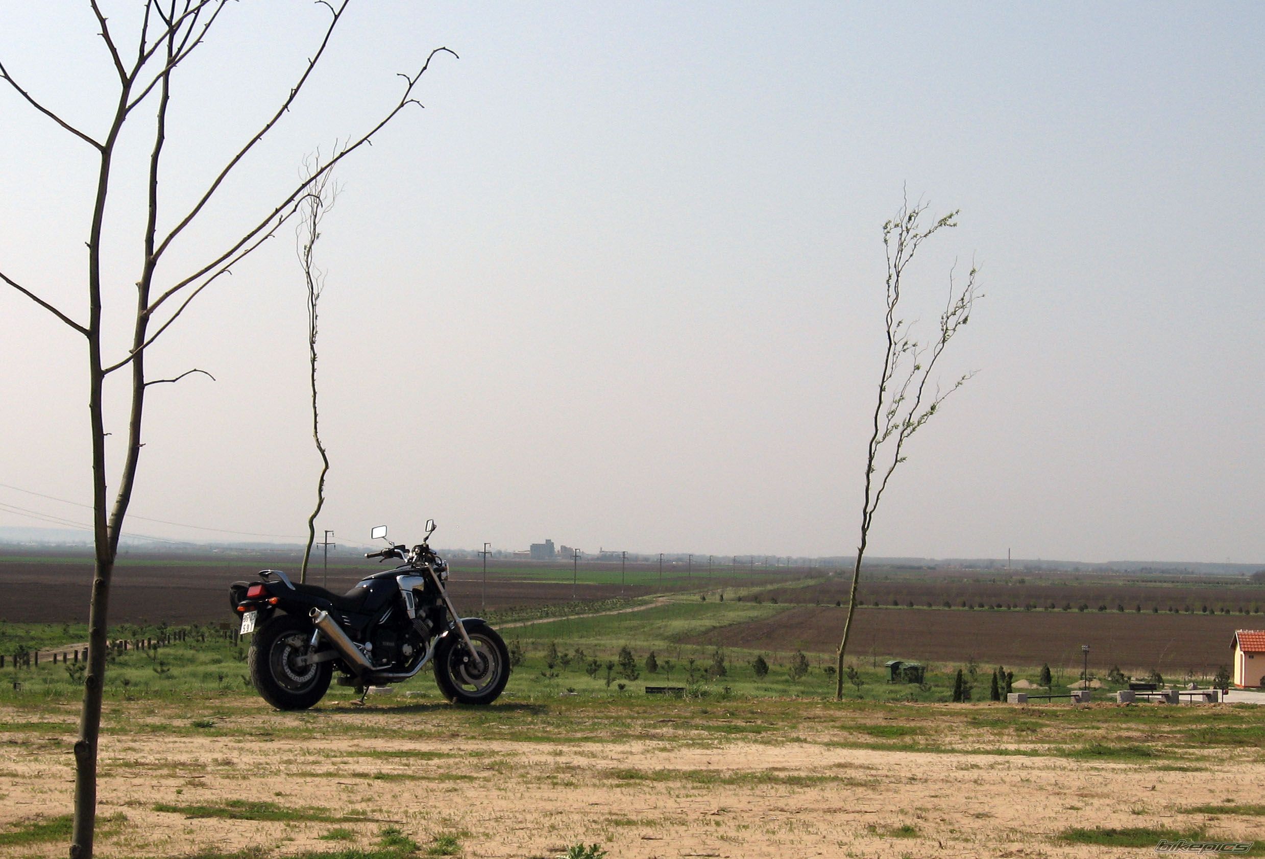 Photo 1628389