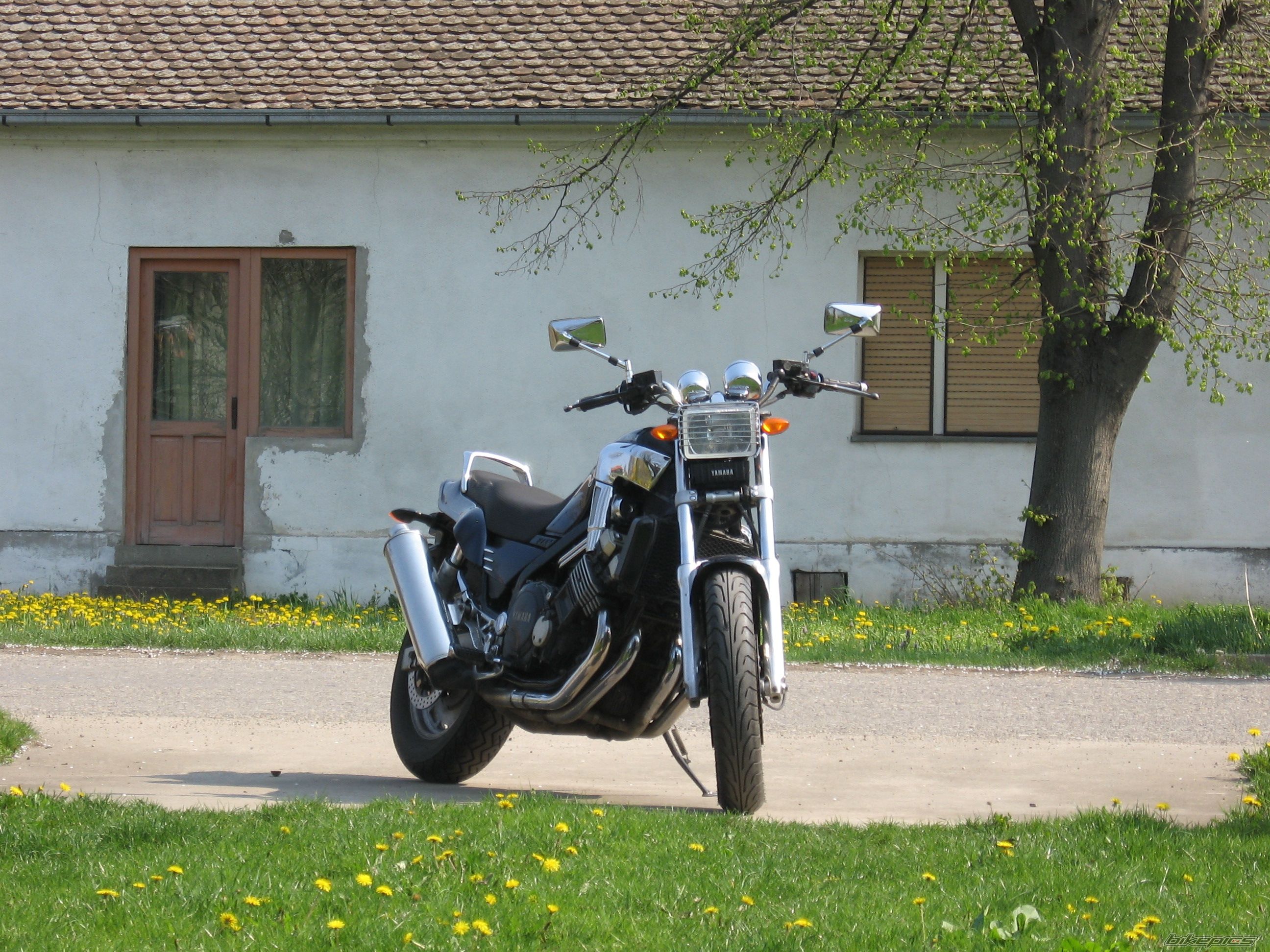 Photo 1628392