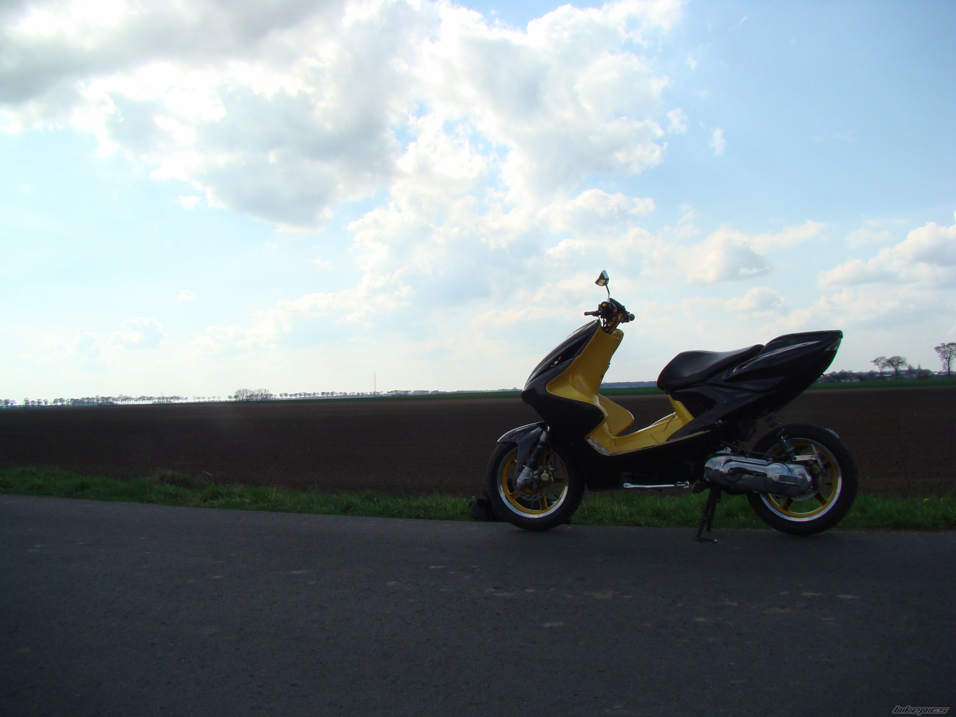Photo 1628393