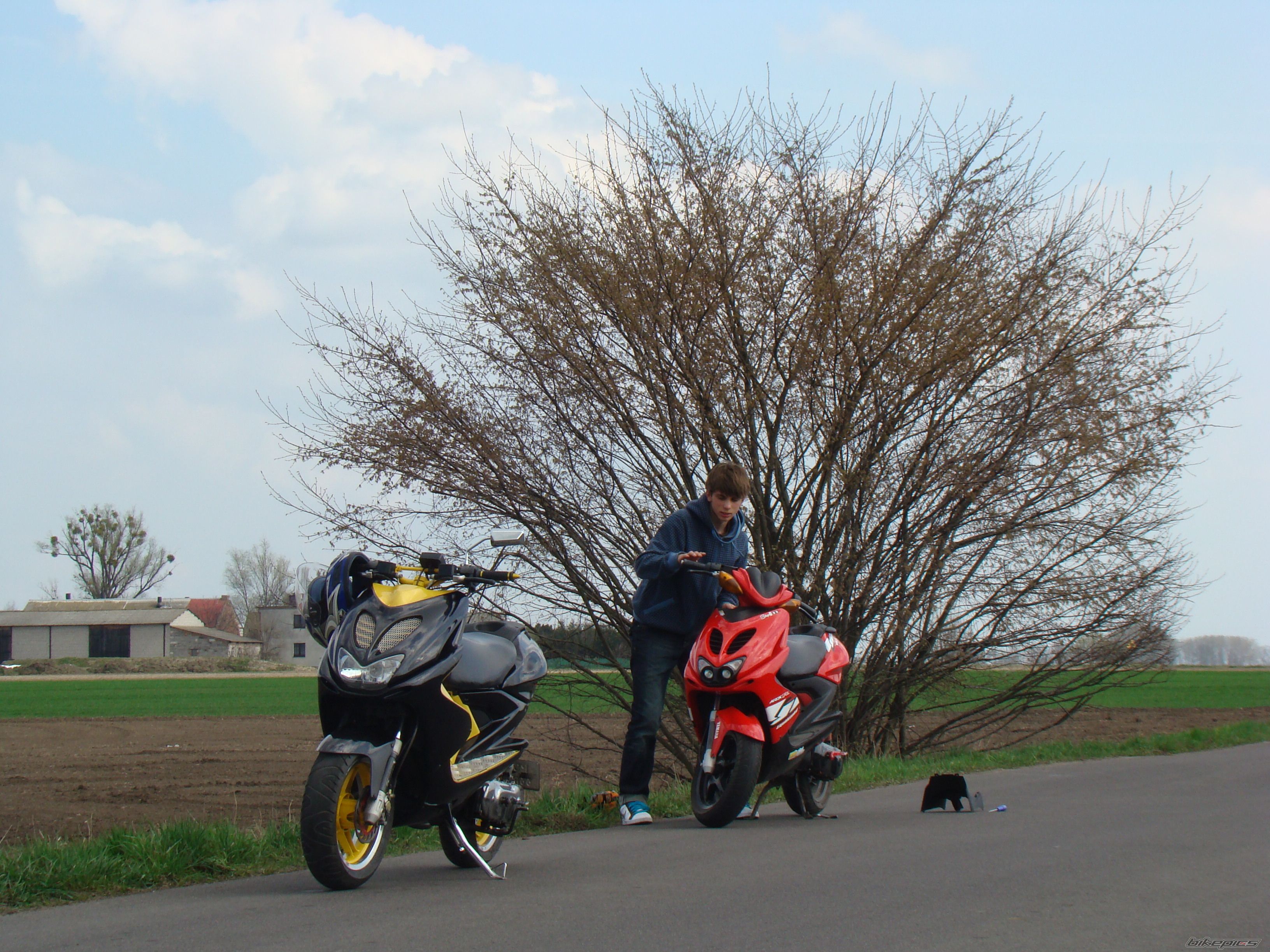Photo 1628442