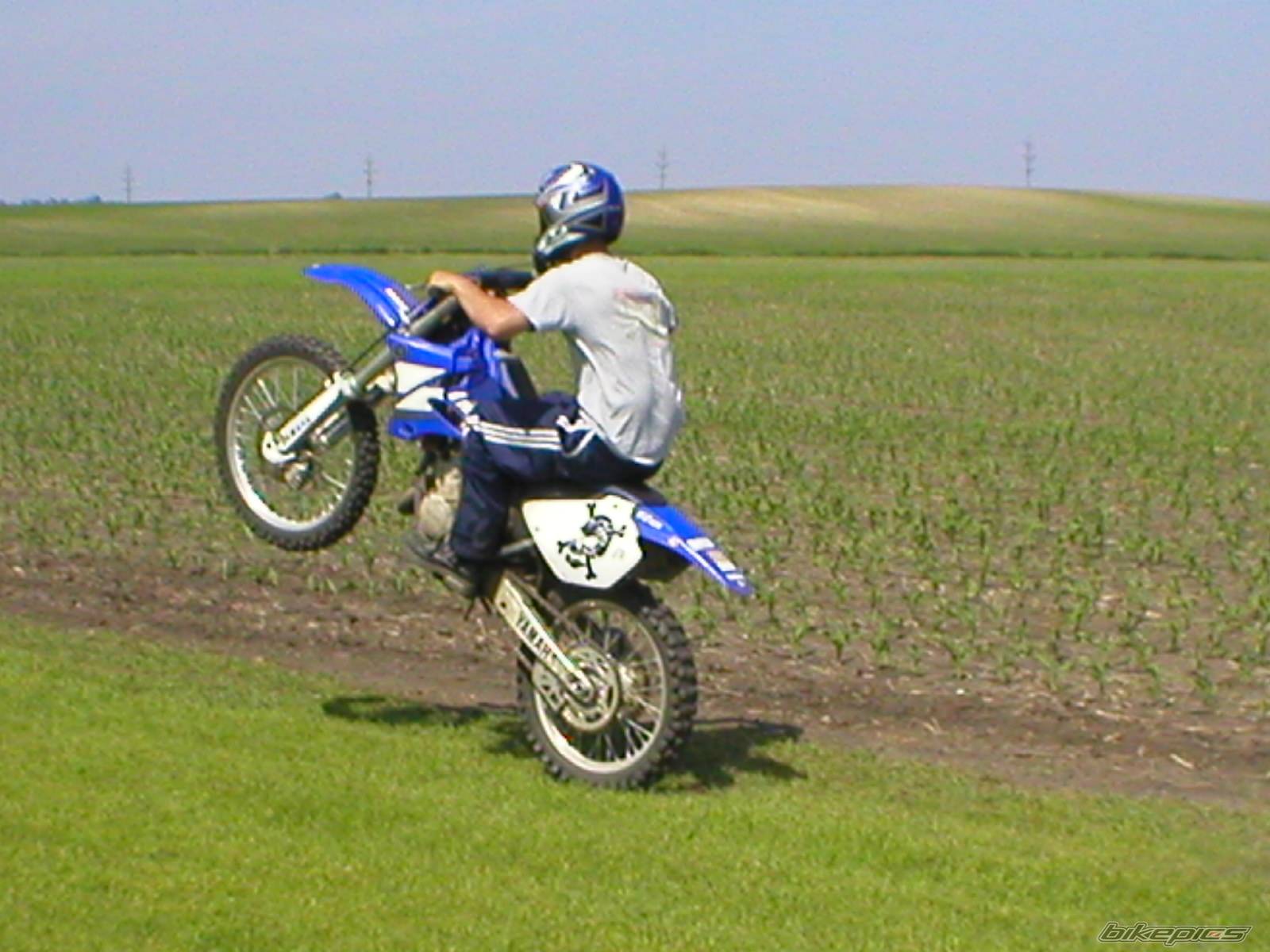 Photo 162845