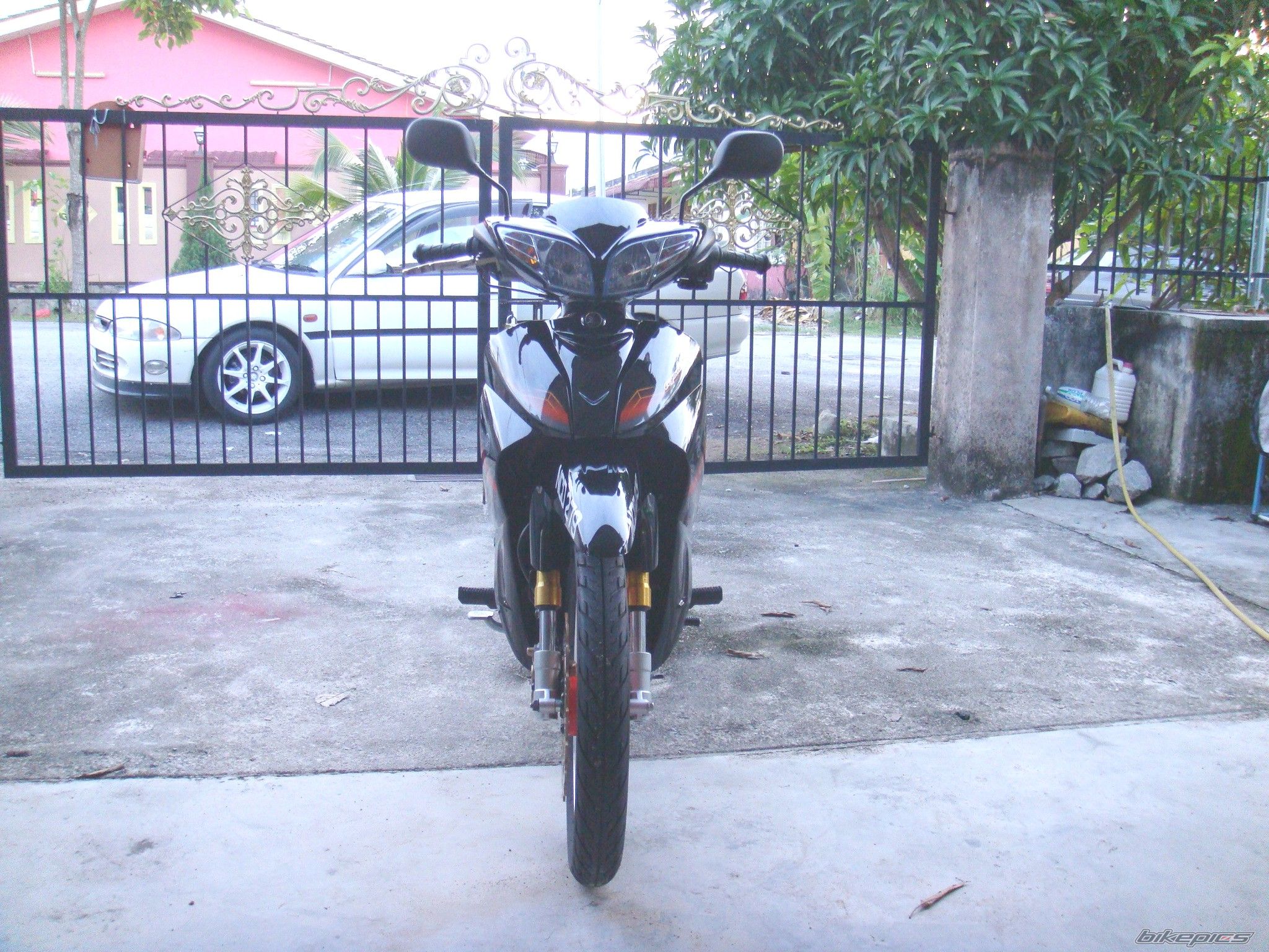 Photo 1628554