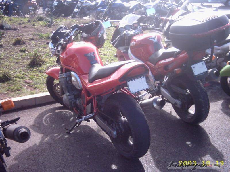 Photo 162867