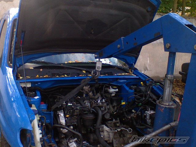 Photo 1628690