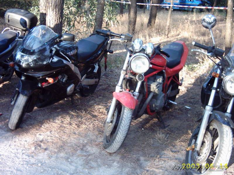 Photo 162876