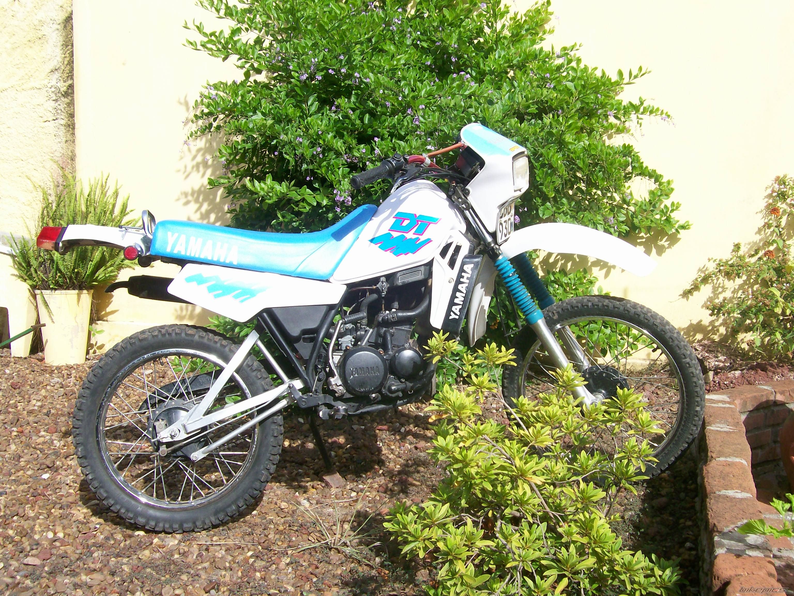 Photo 1628772
