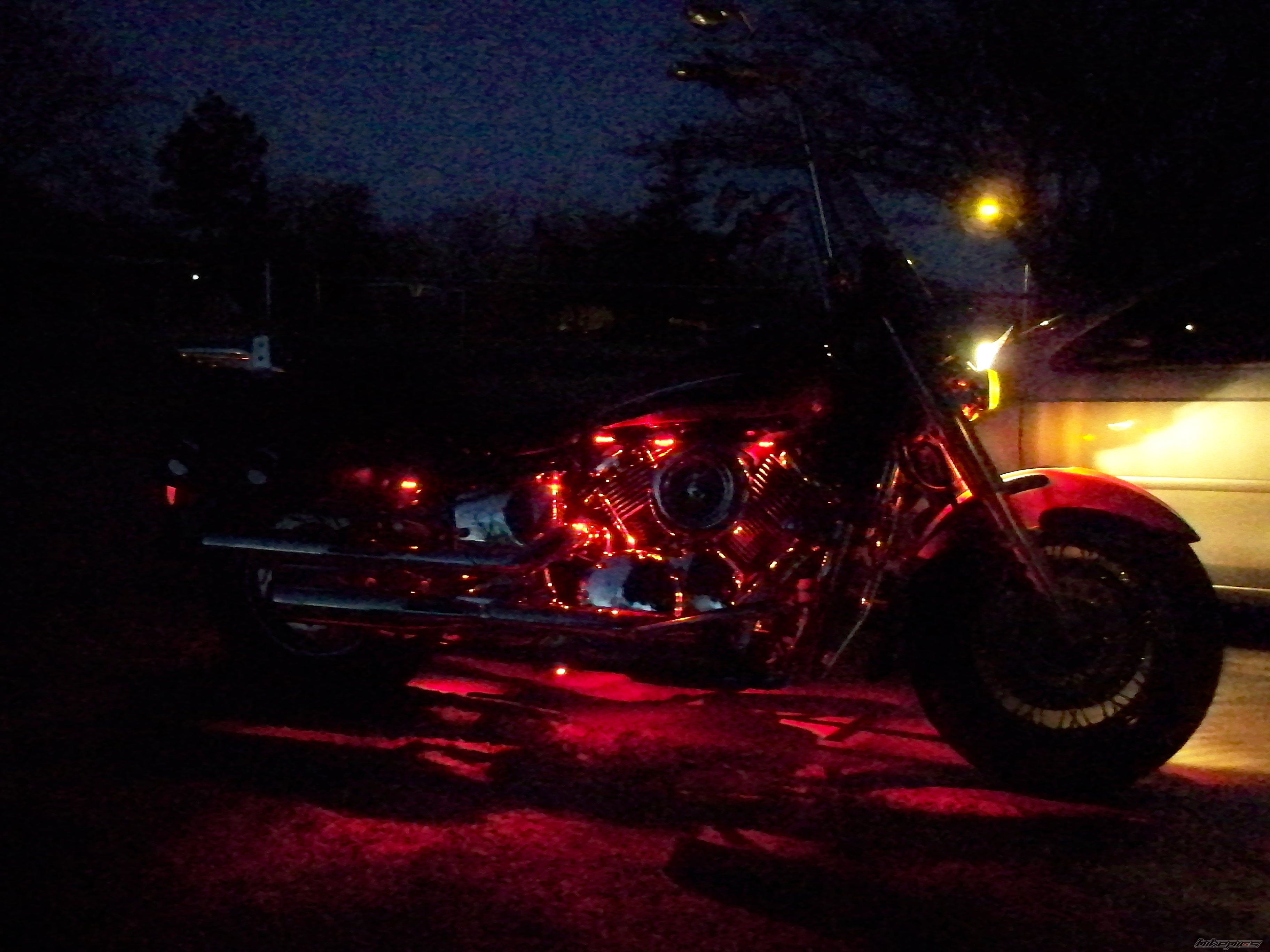 Photo 1628852