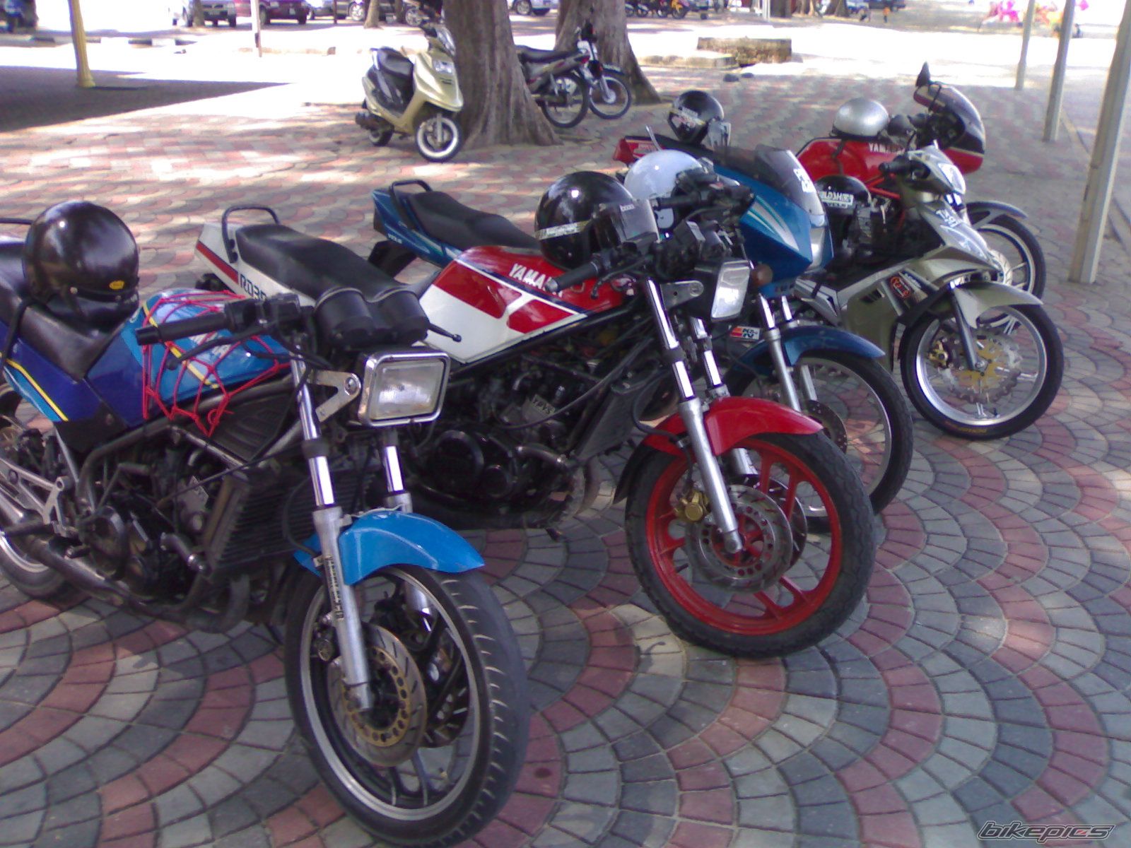 Photo 1628982