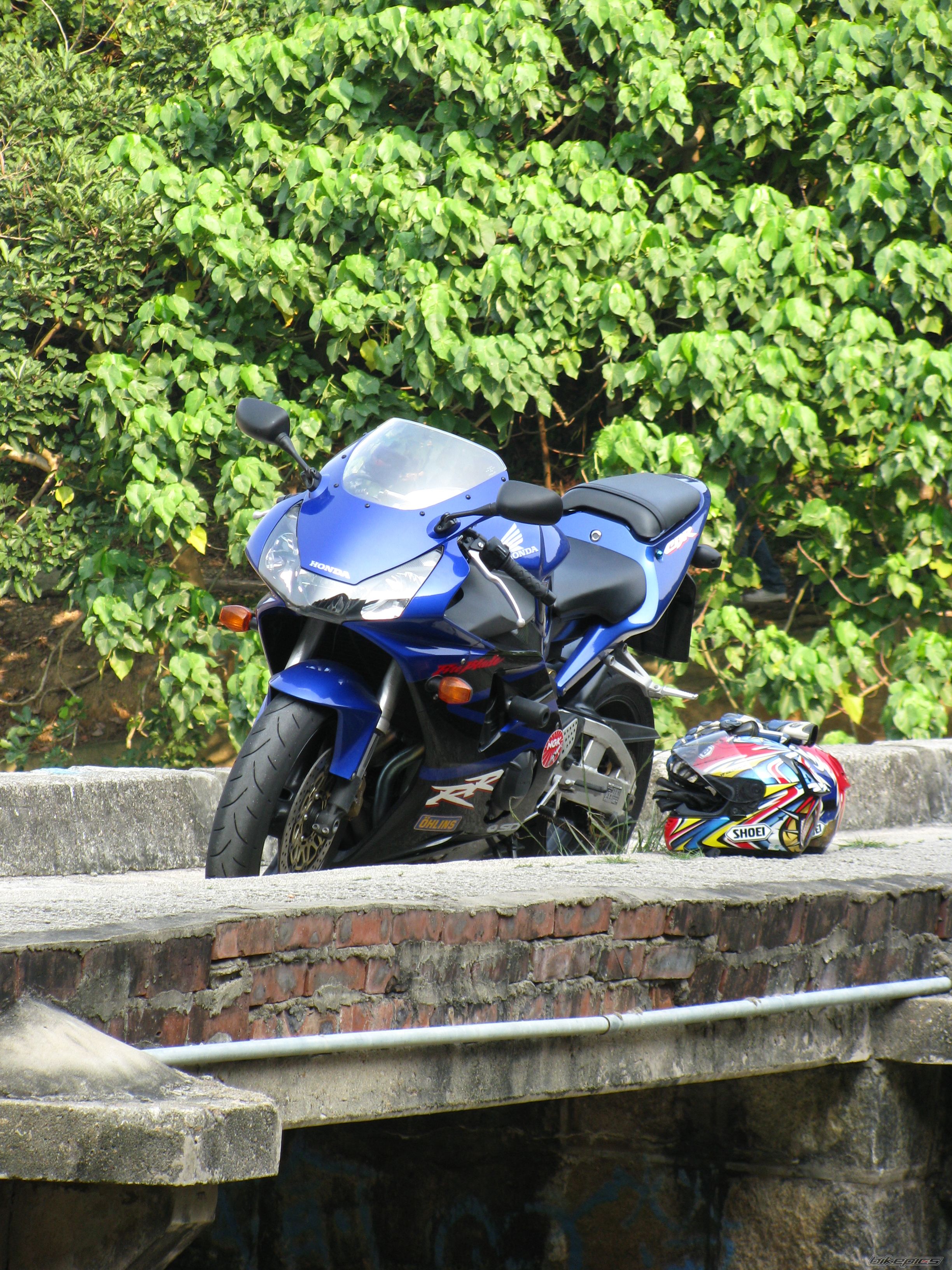 Photo 1629244
