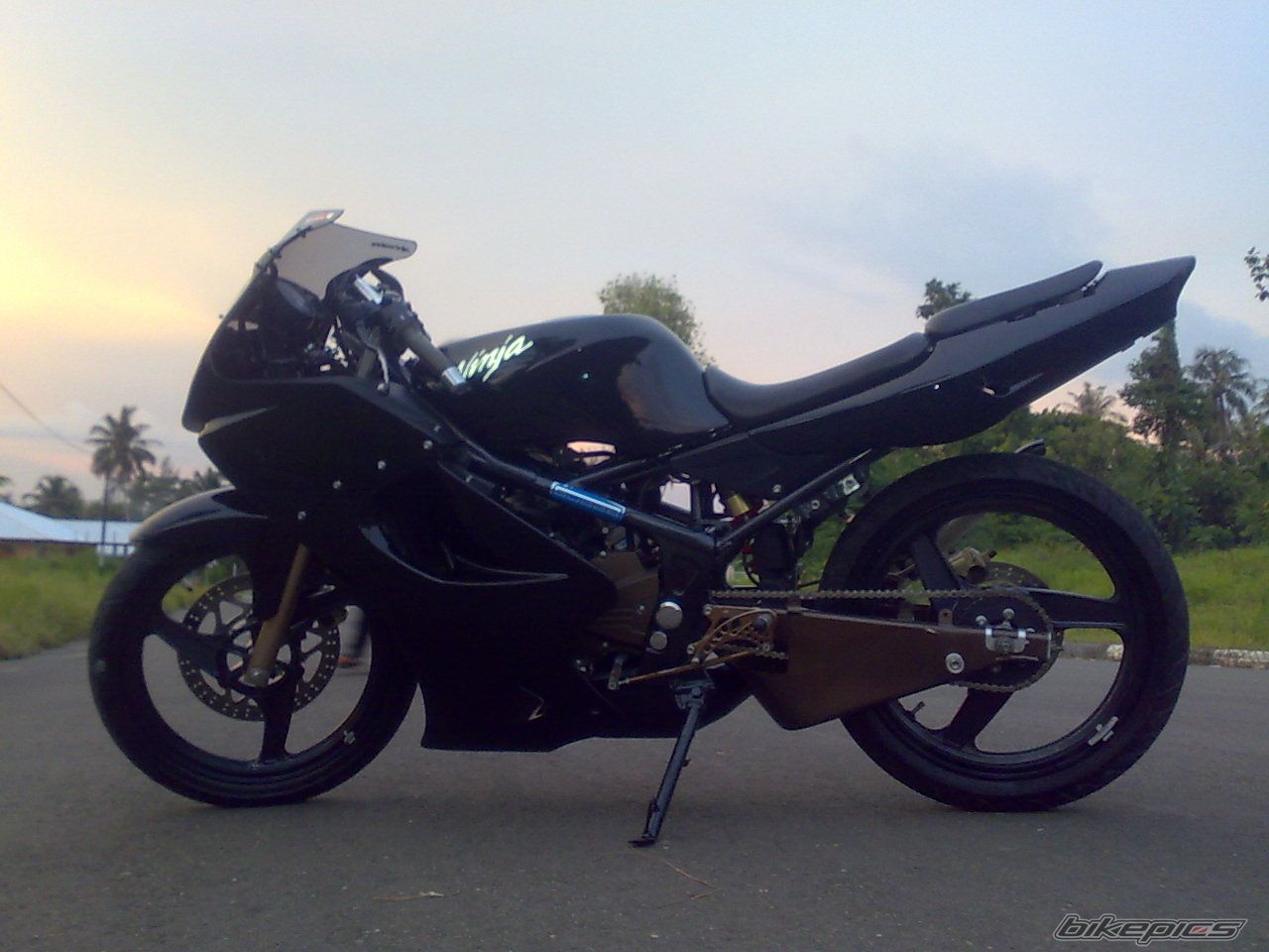 Photo 1629300