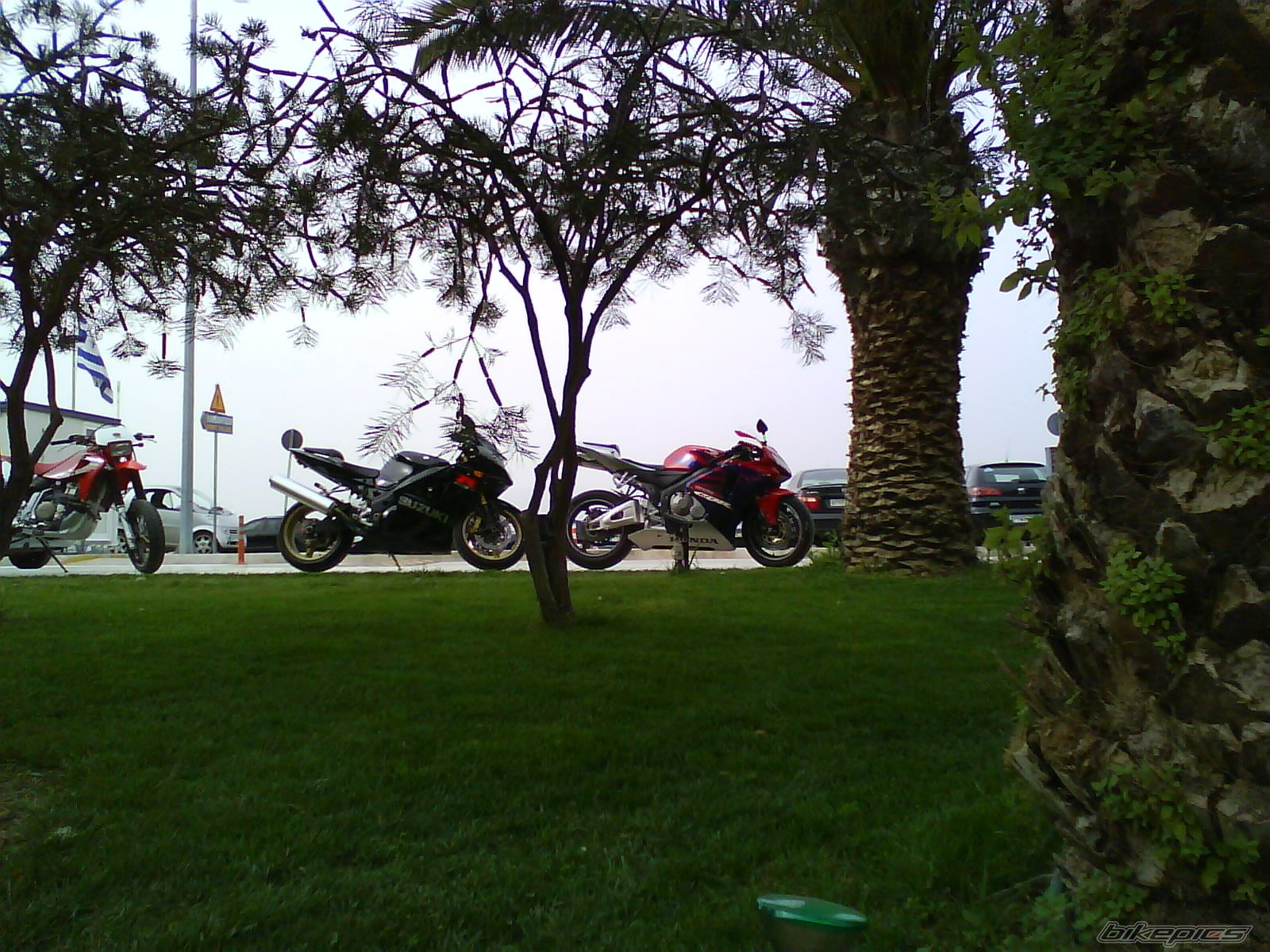 Photo 1629392