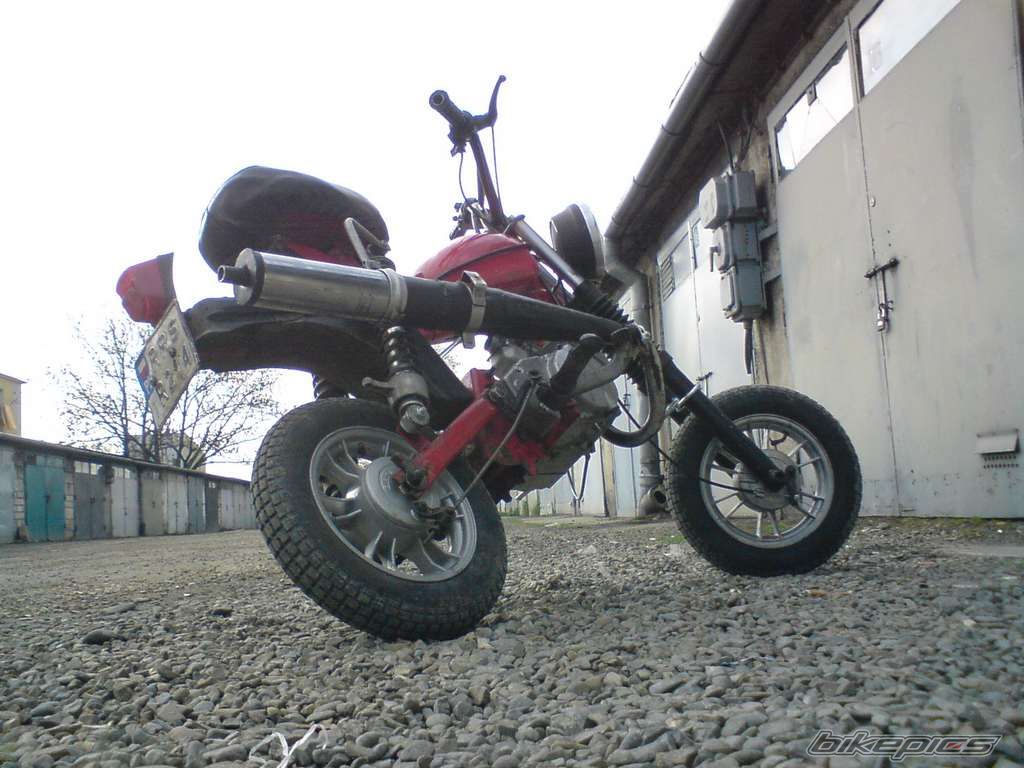 Photo 1629460