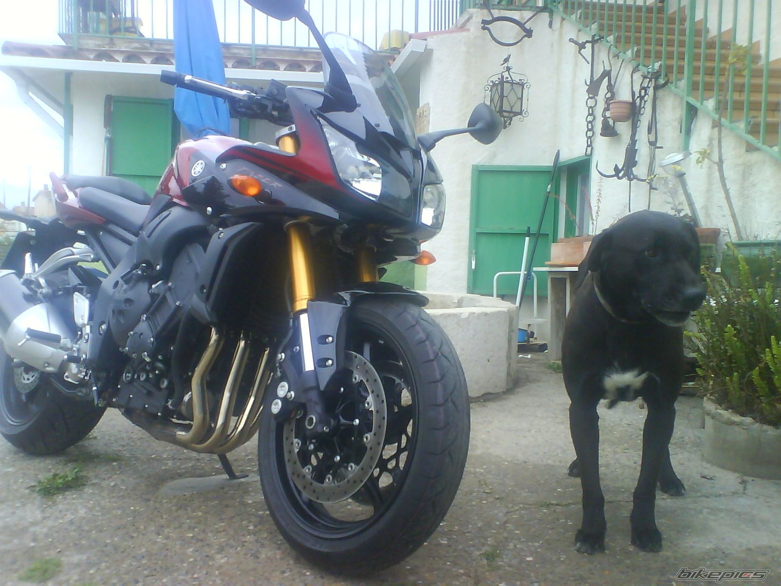 Bike Photo 1629526