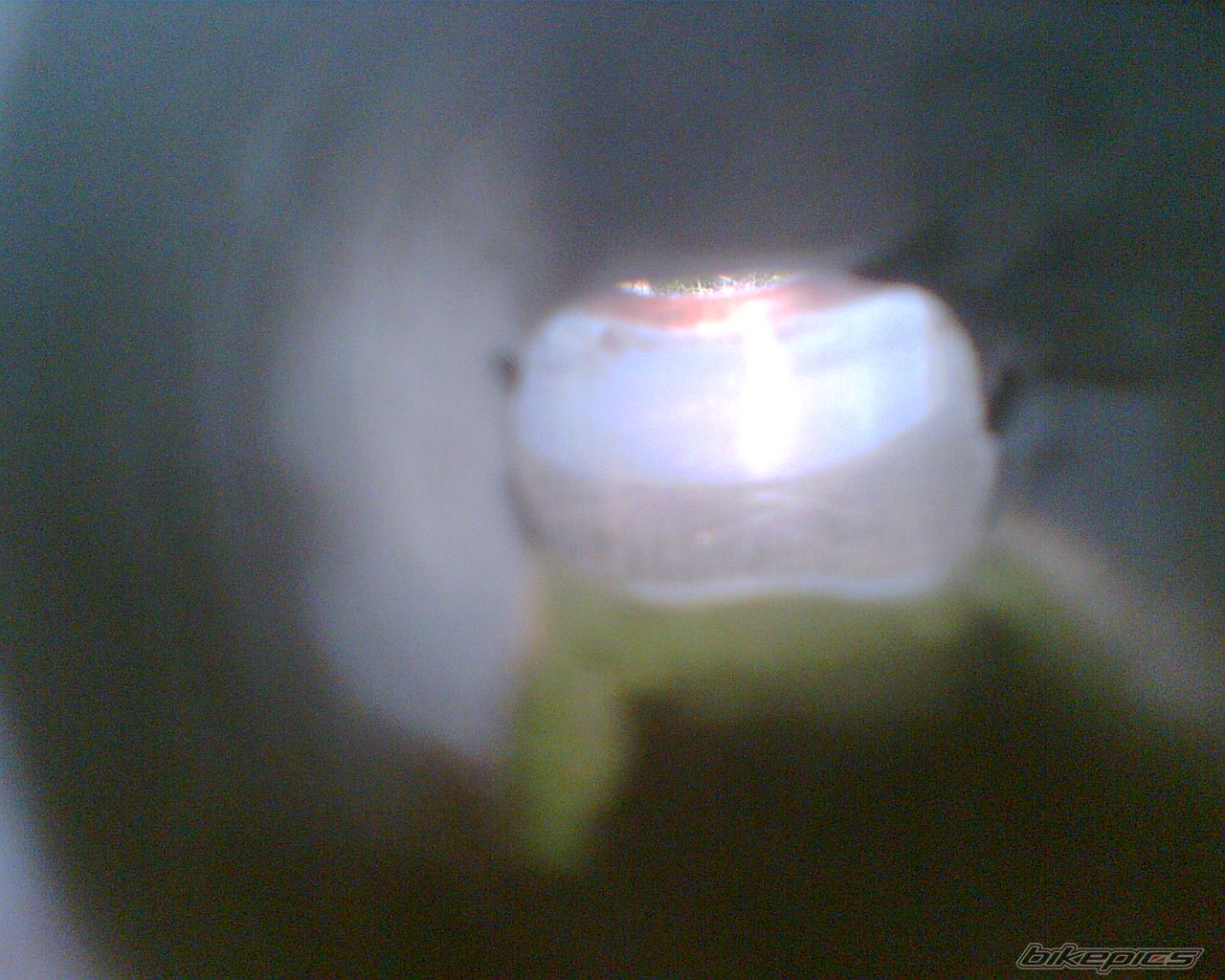 Photo 1629551