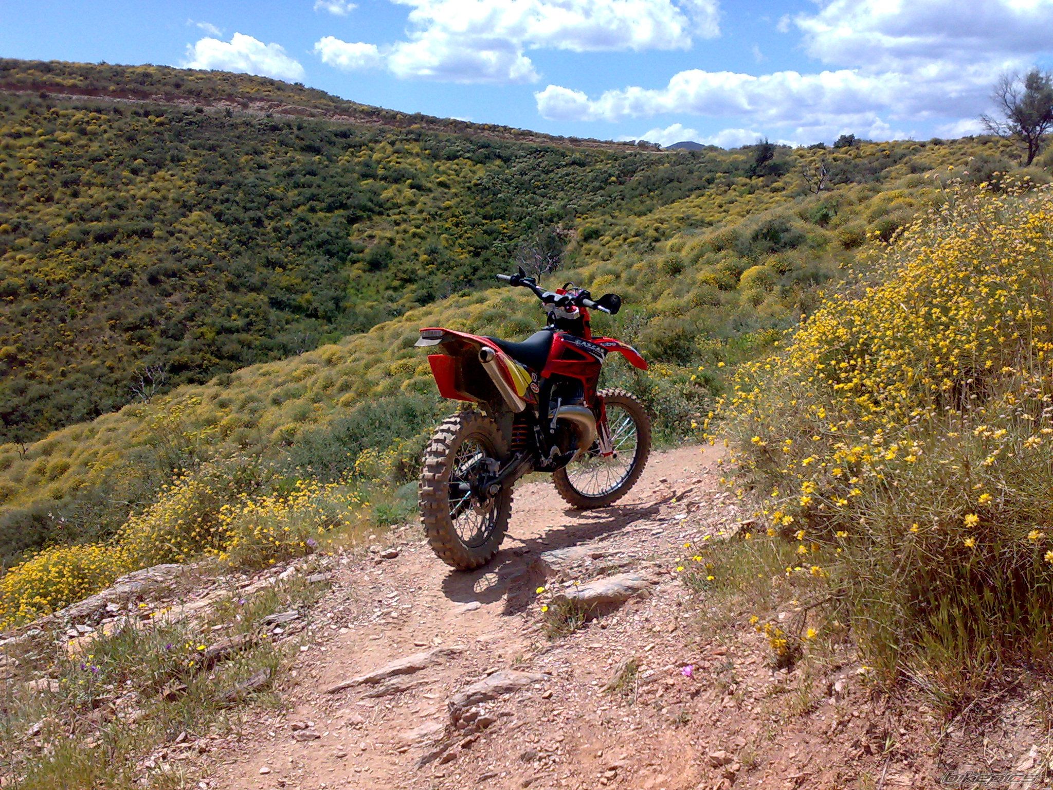 Photo 1629594