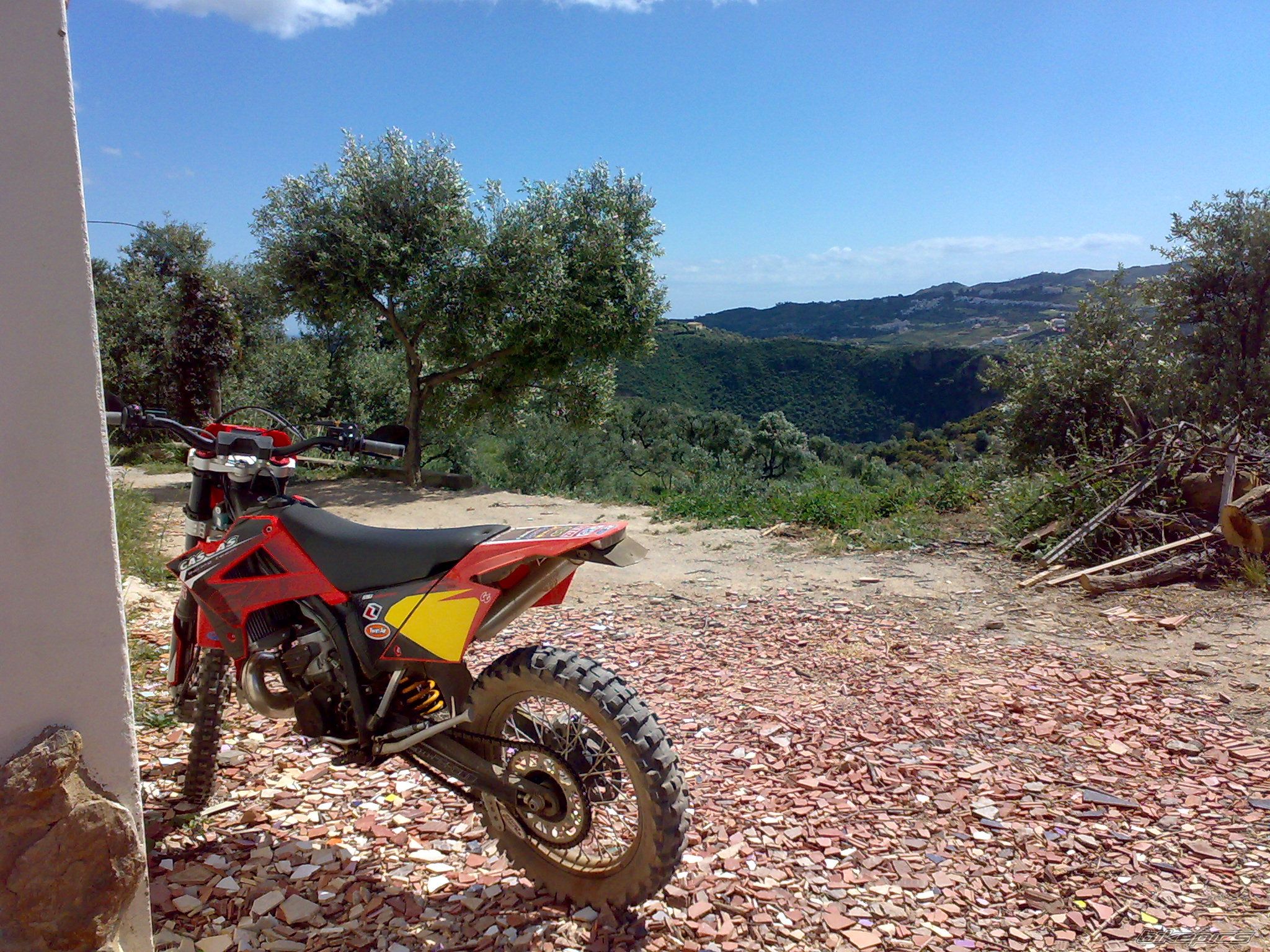 Photo 1629603