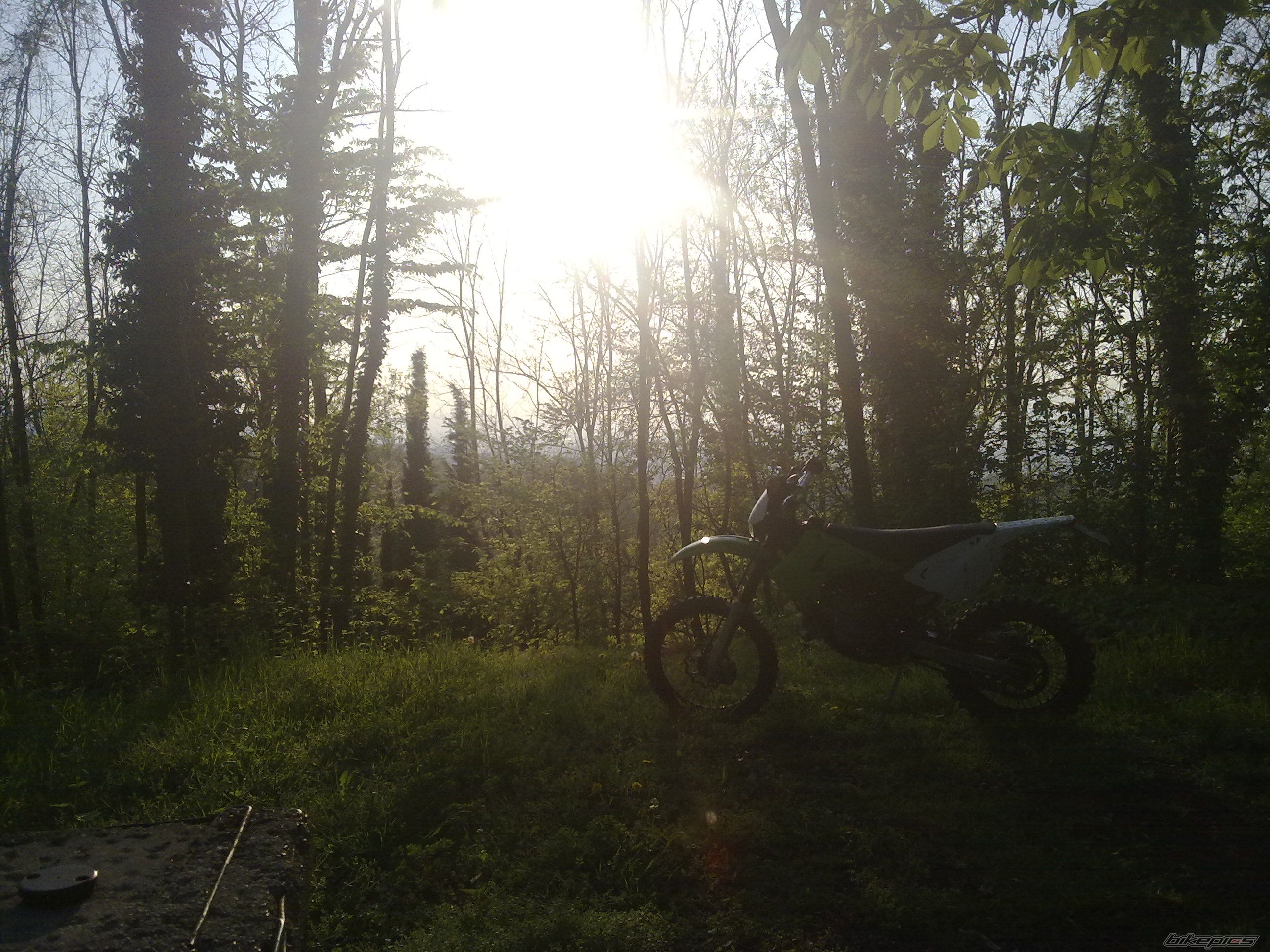 Bike Photo 1629605