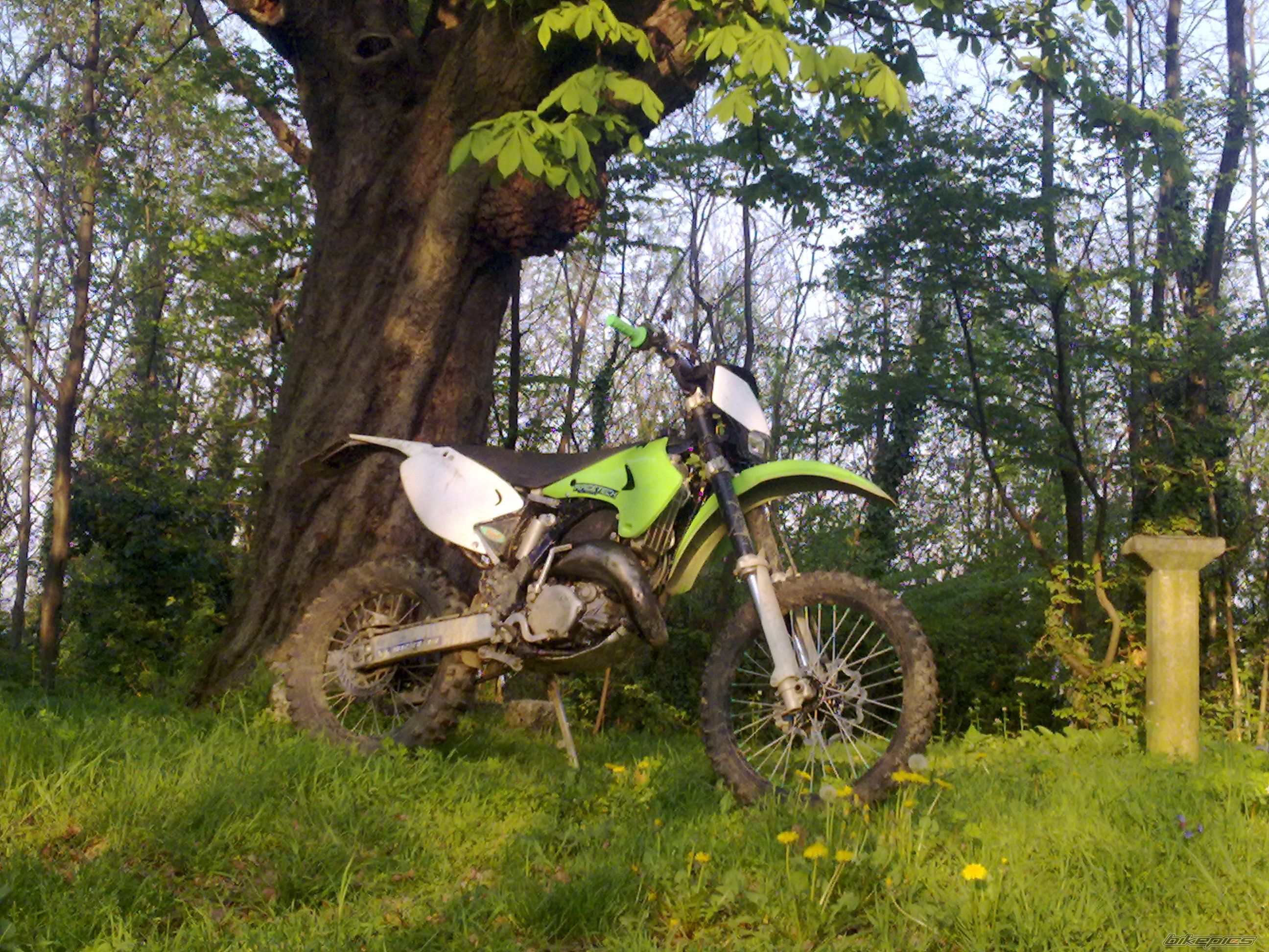 Bike Photo 1629611