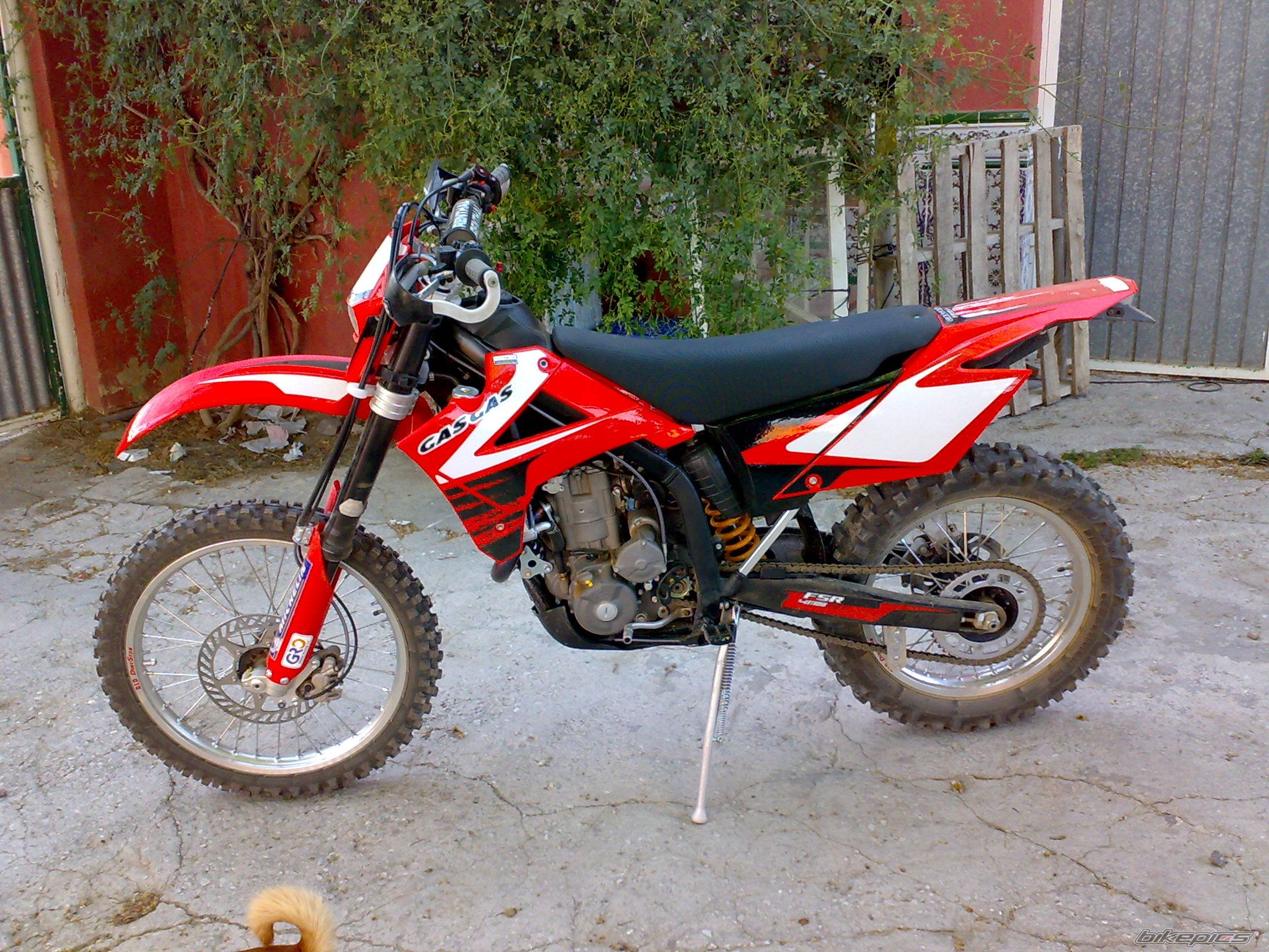 Photo 1629616