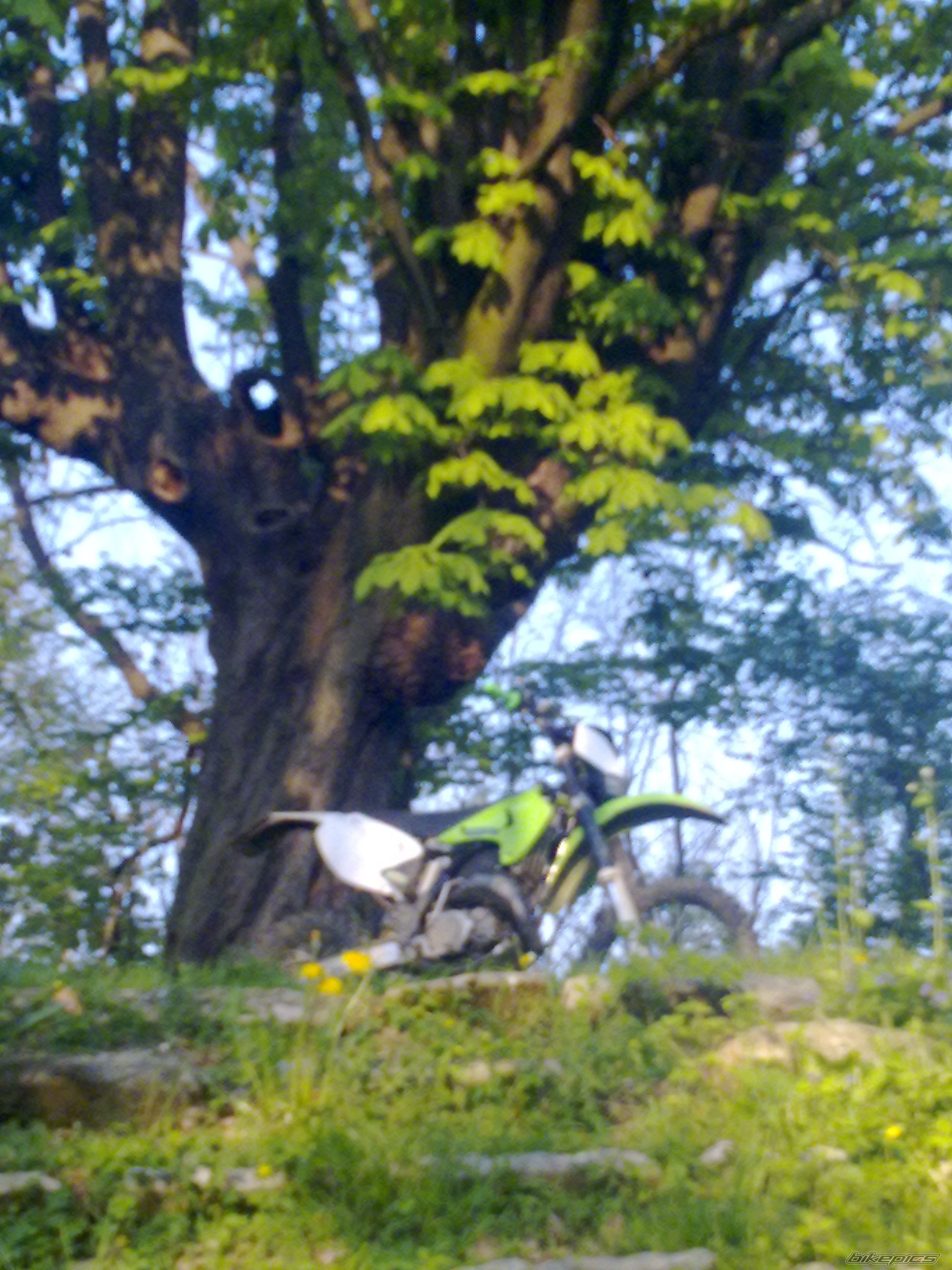 Bike Photo 1629618