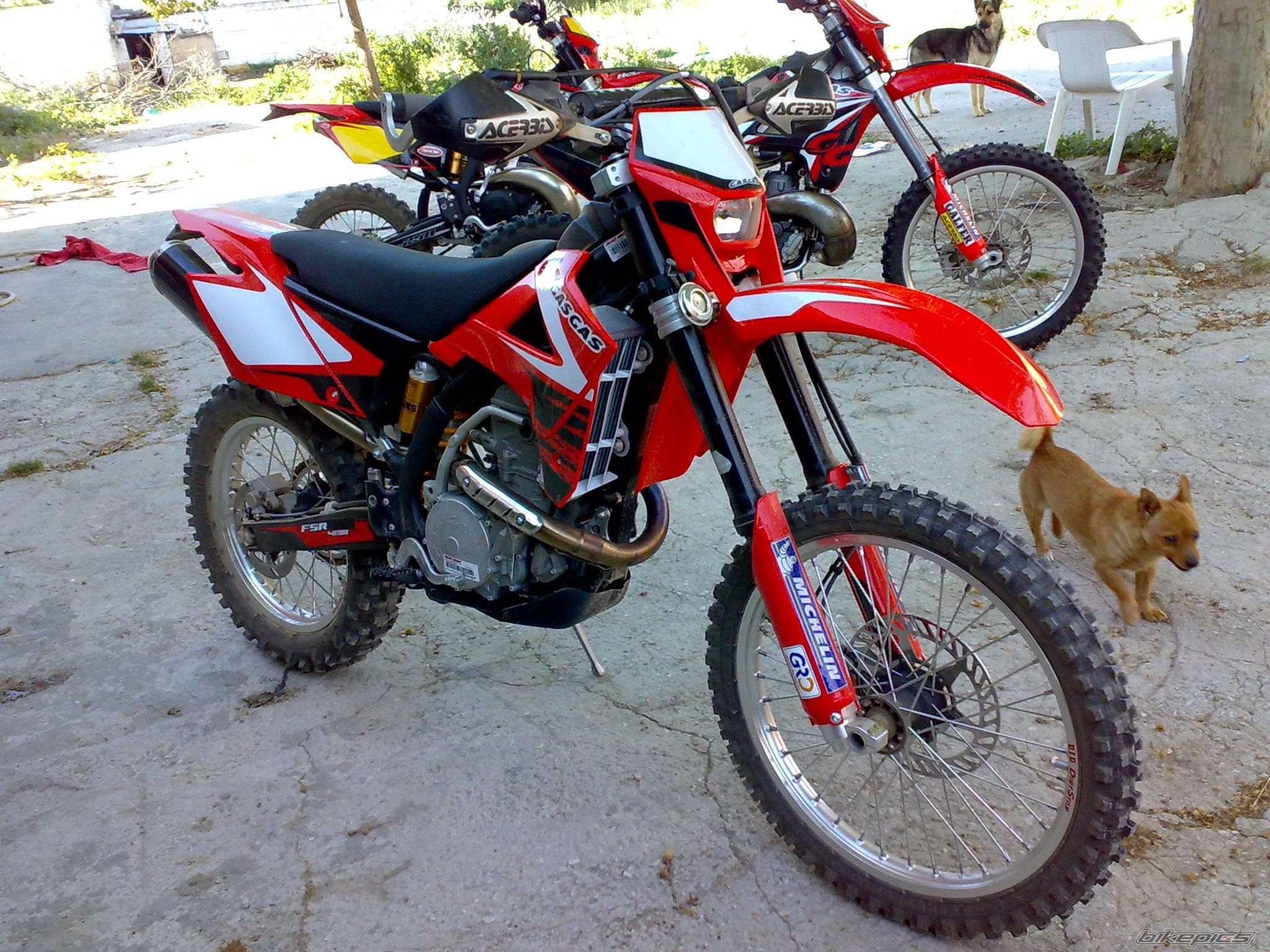 Photo 1629620