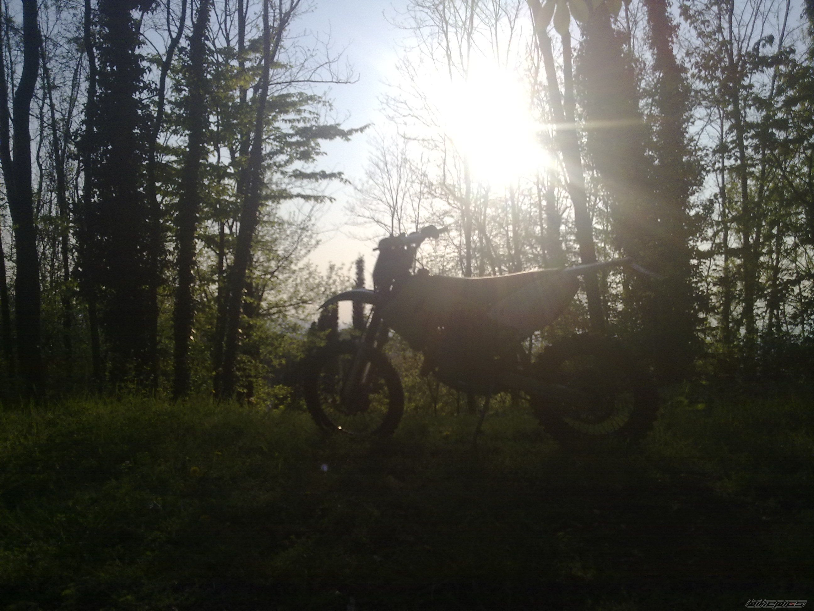 Bike Photo 1629621