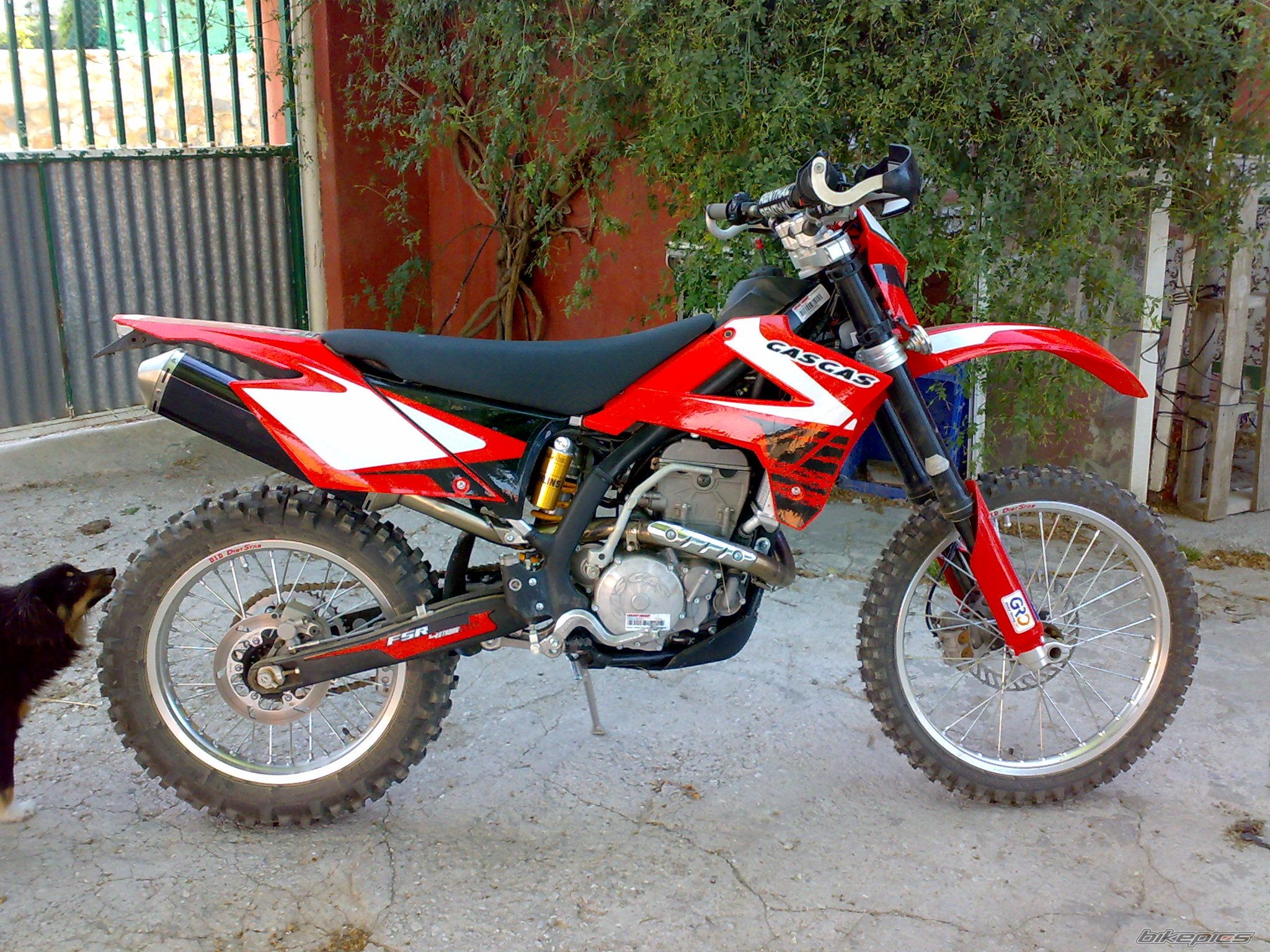 Photo 1629624
