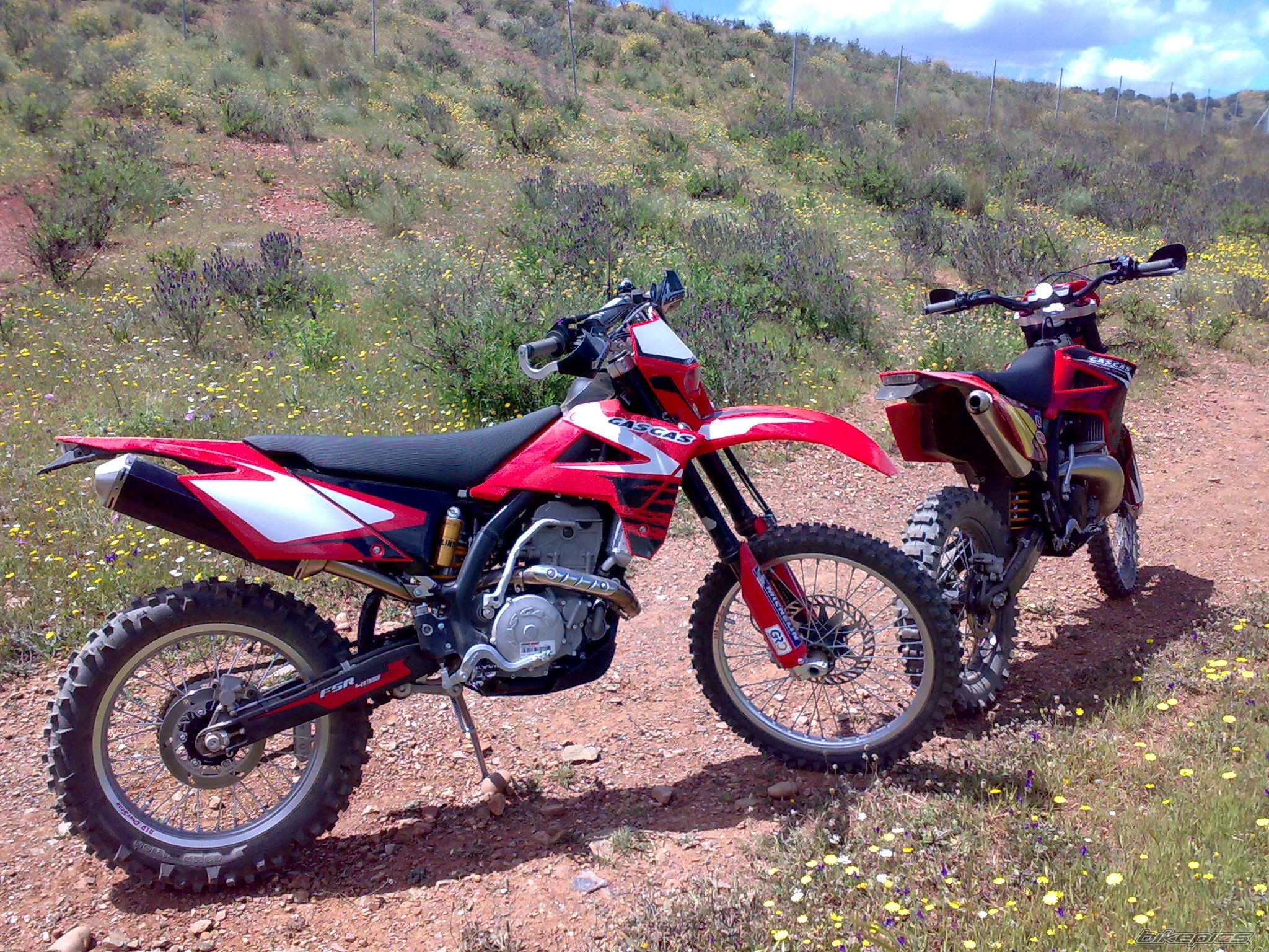 Photo 1629648