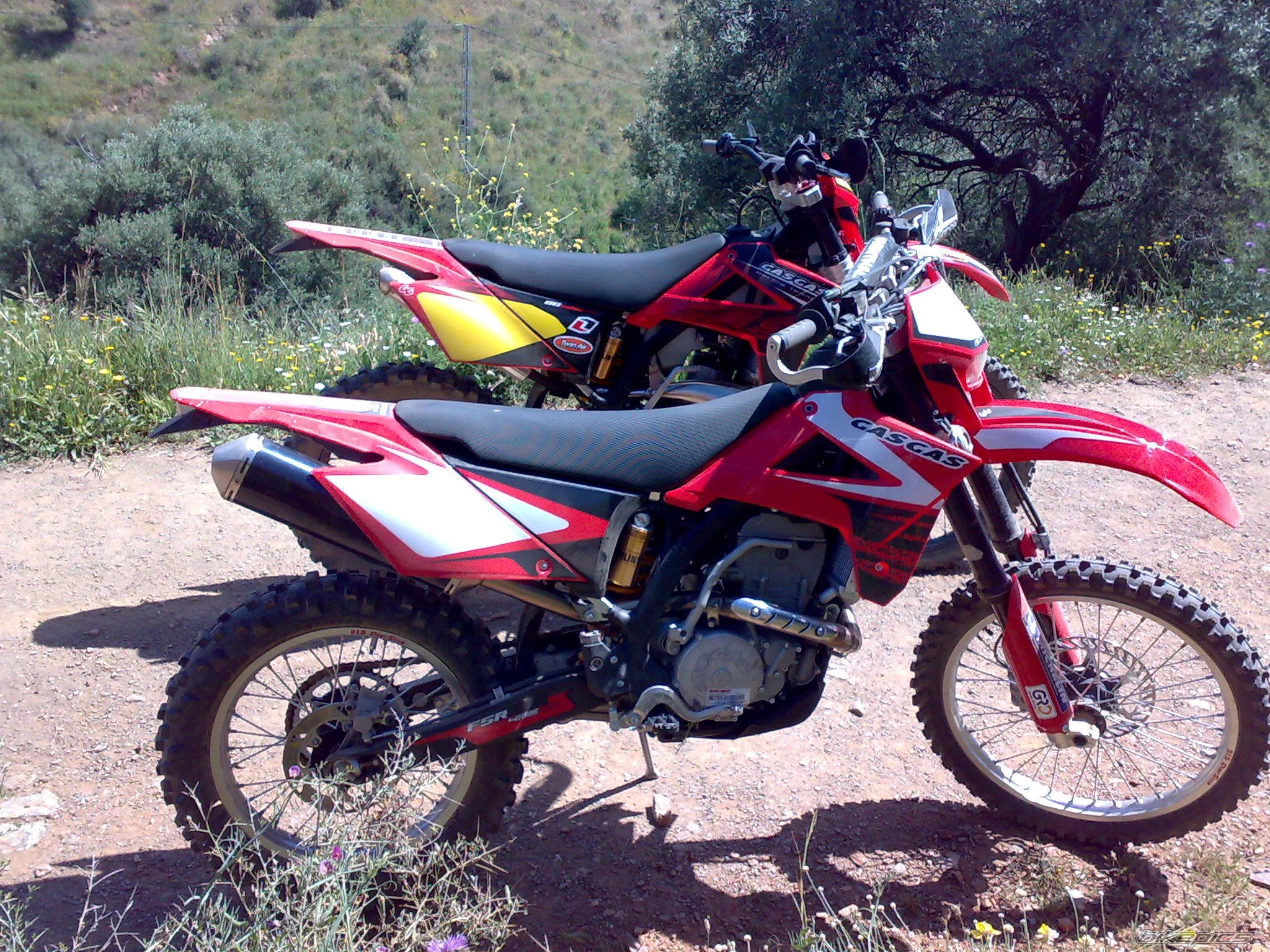 Photo 1629654