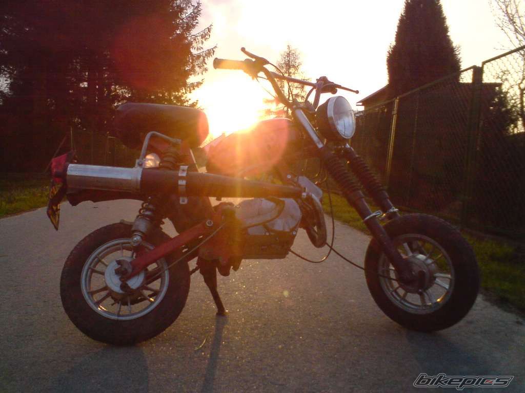 Photo 1629726
