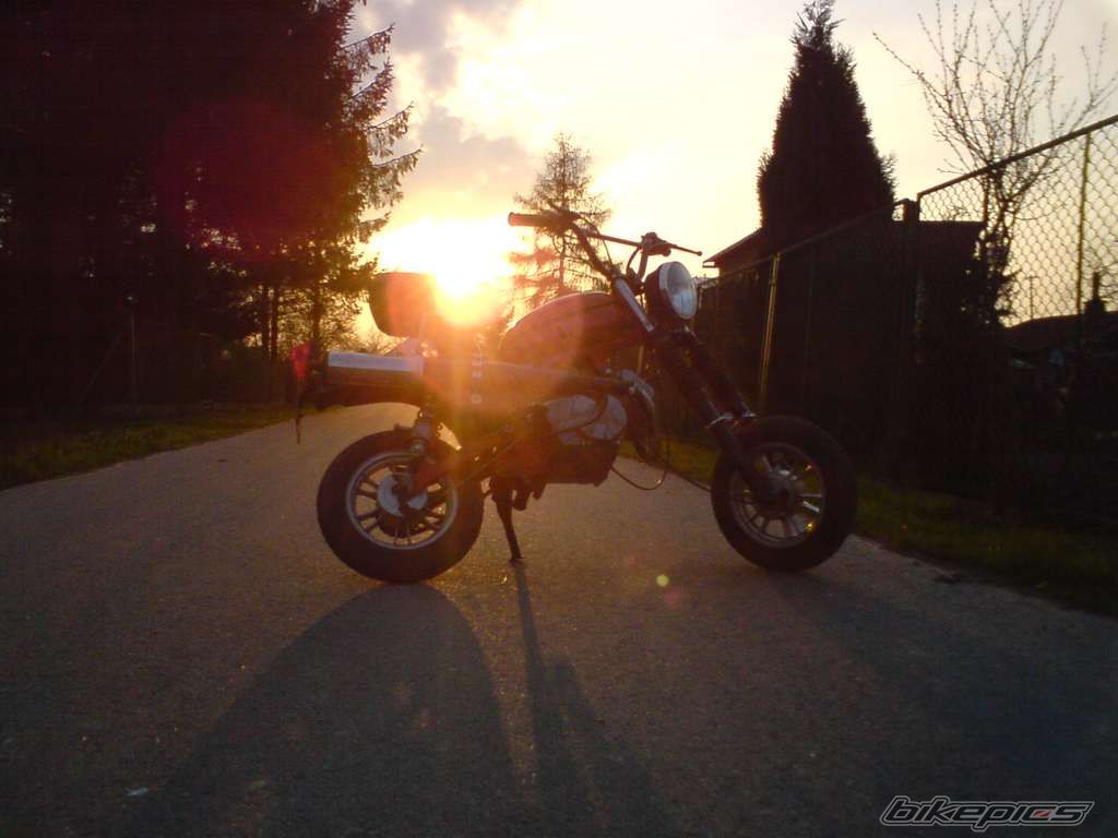 Photo 1629729