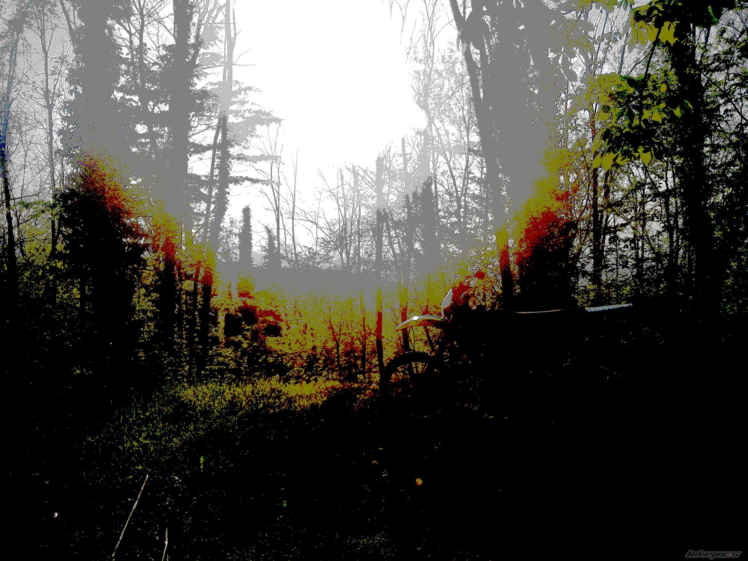 Photo 1629764