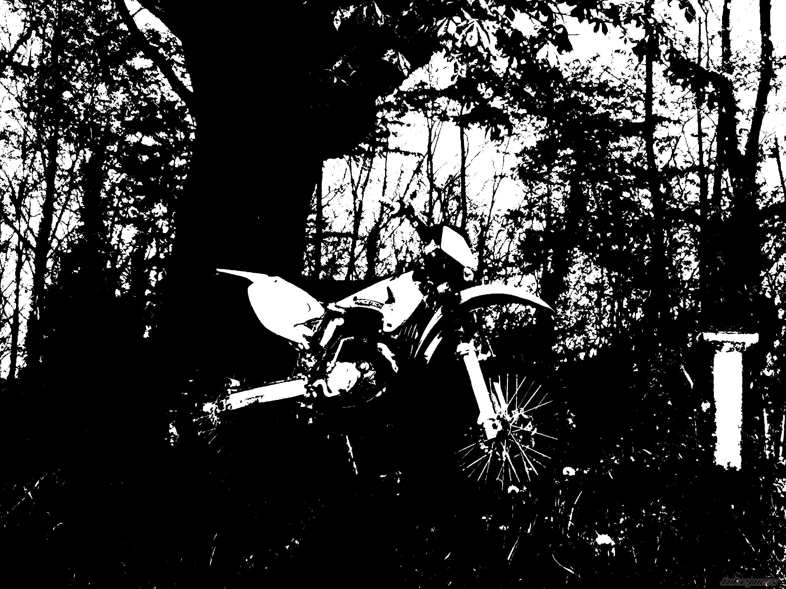 Bike Photo 1629765