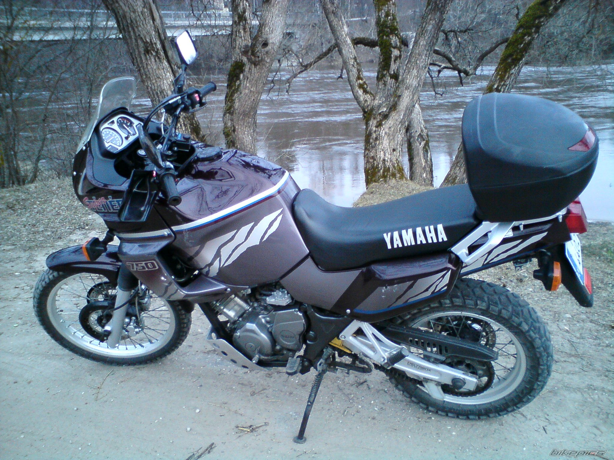 Bike Photo 1629824