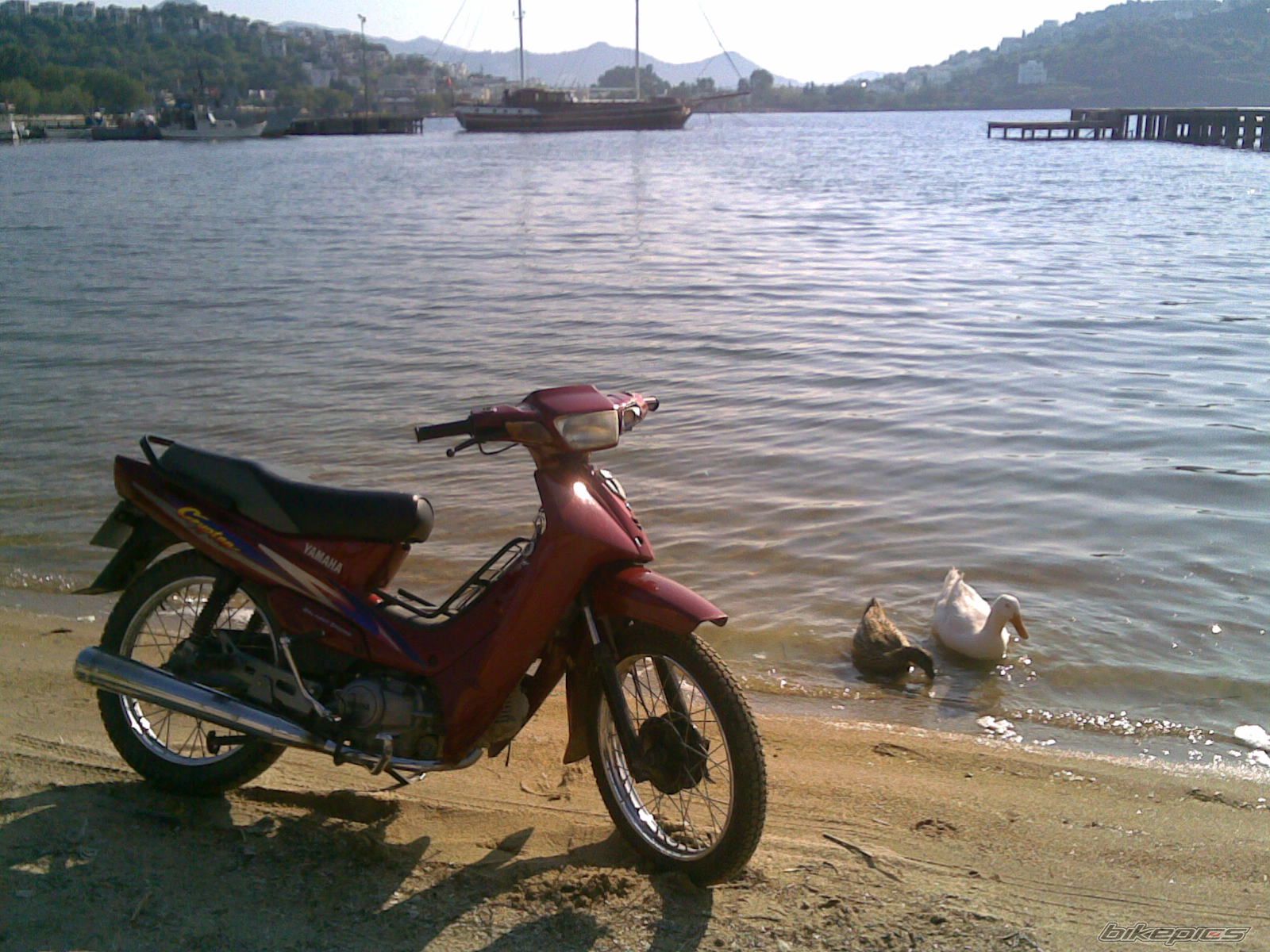 Bike Photo 1629838