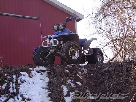 Photo 1629841