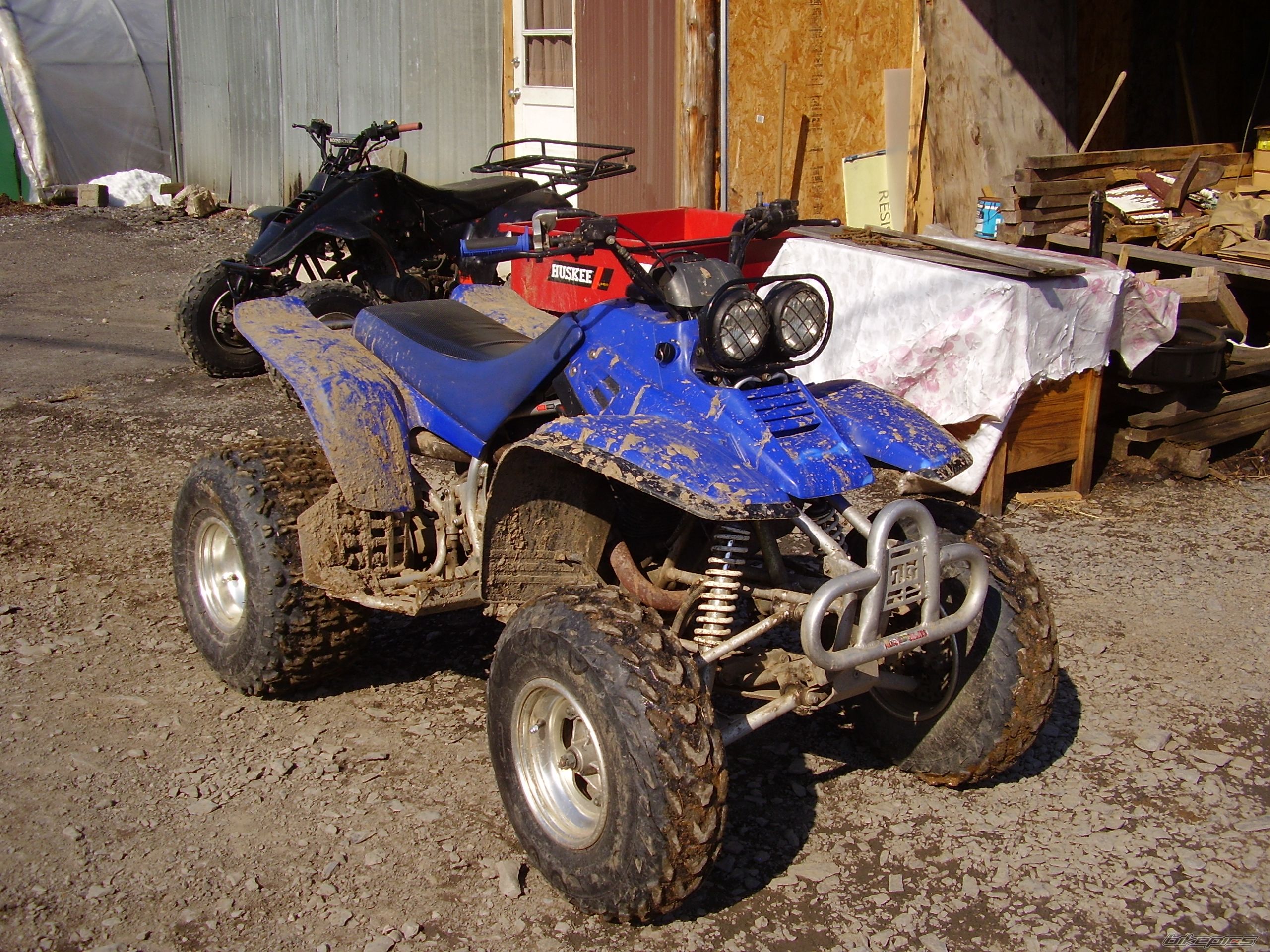 Photo 1629842