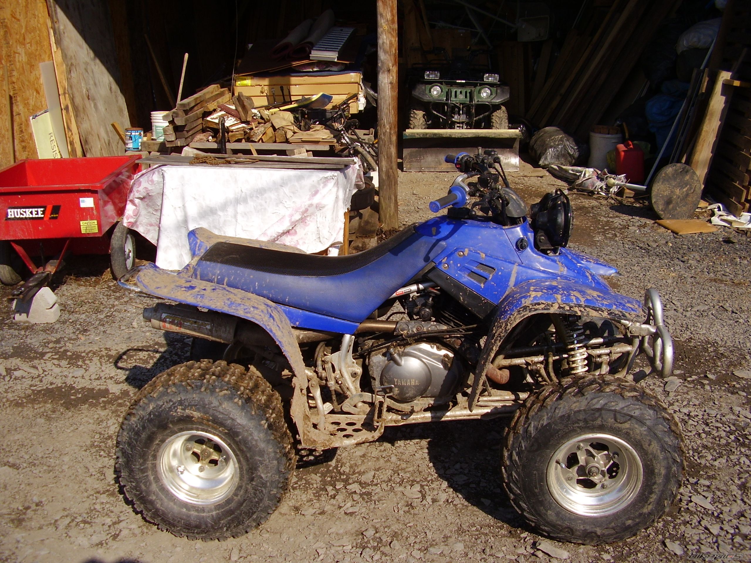 Photo 1629845